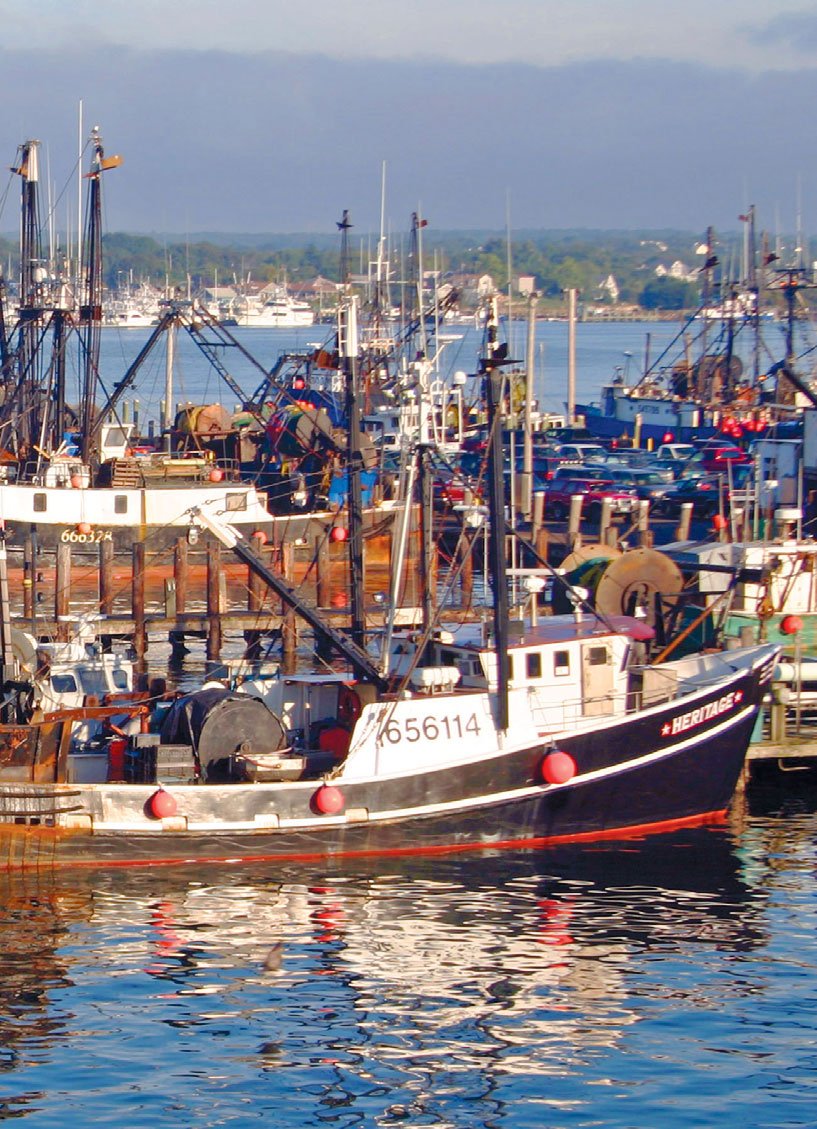 Everything to Know About Summer Fishing in Rhode Island