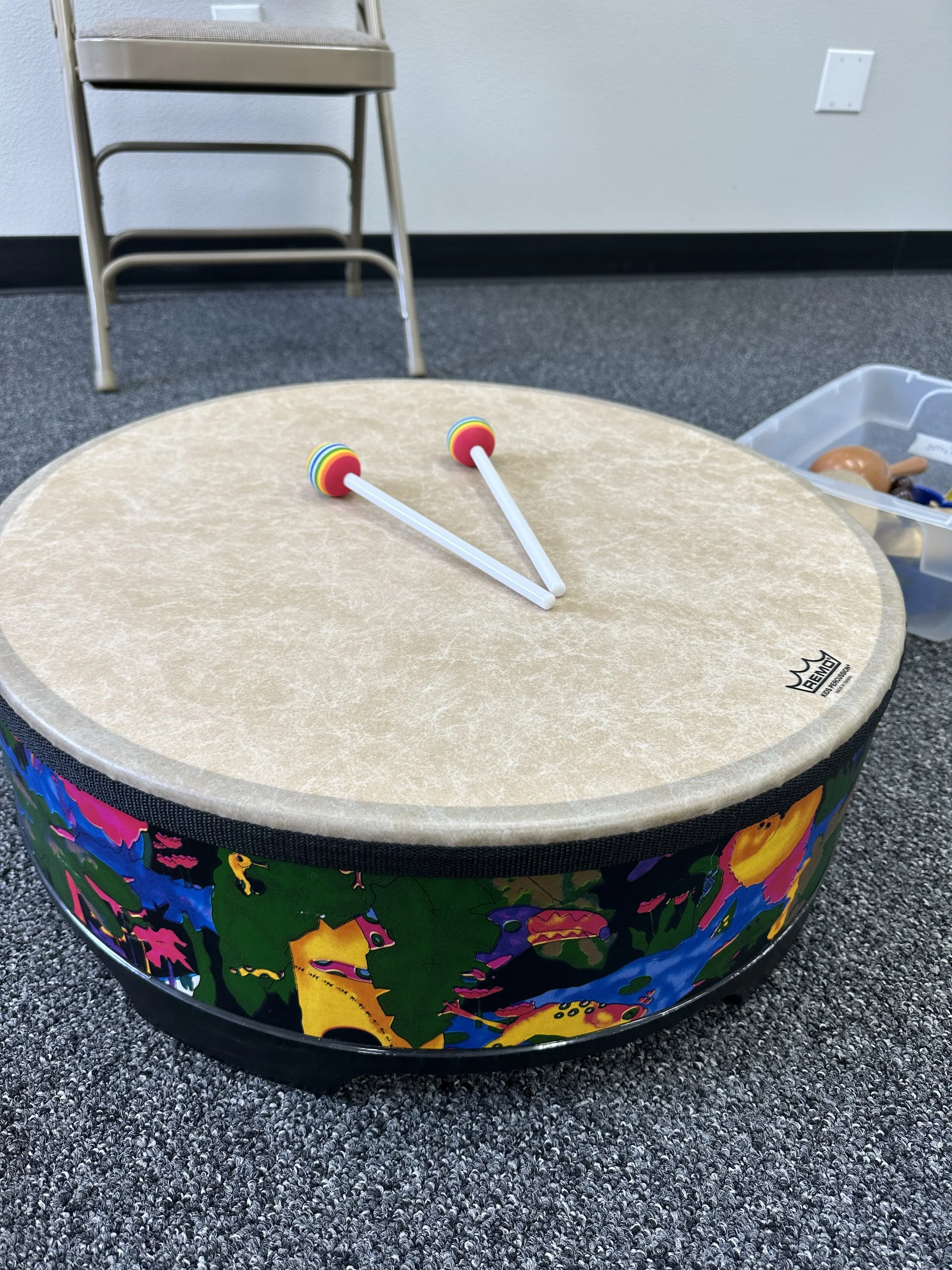 Drum circle drum