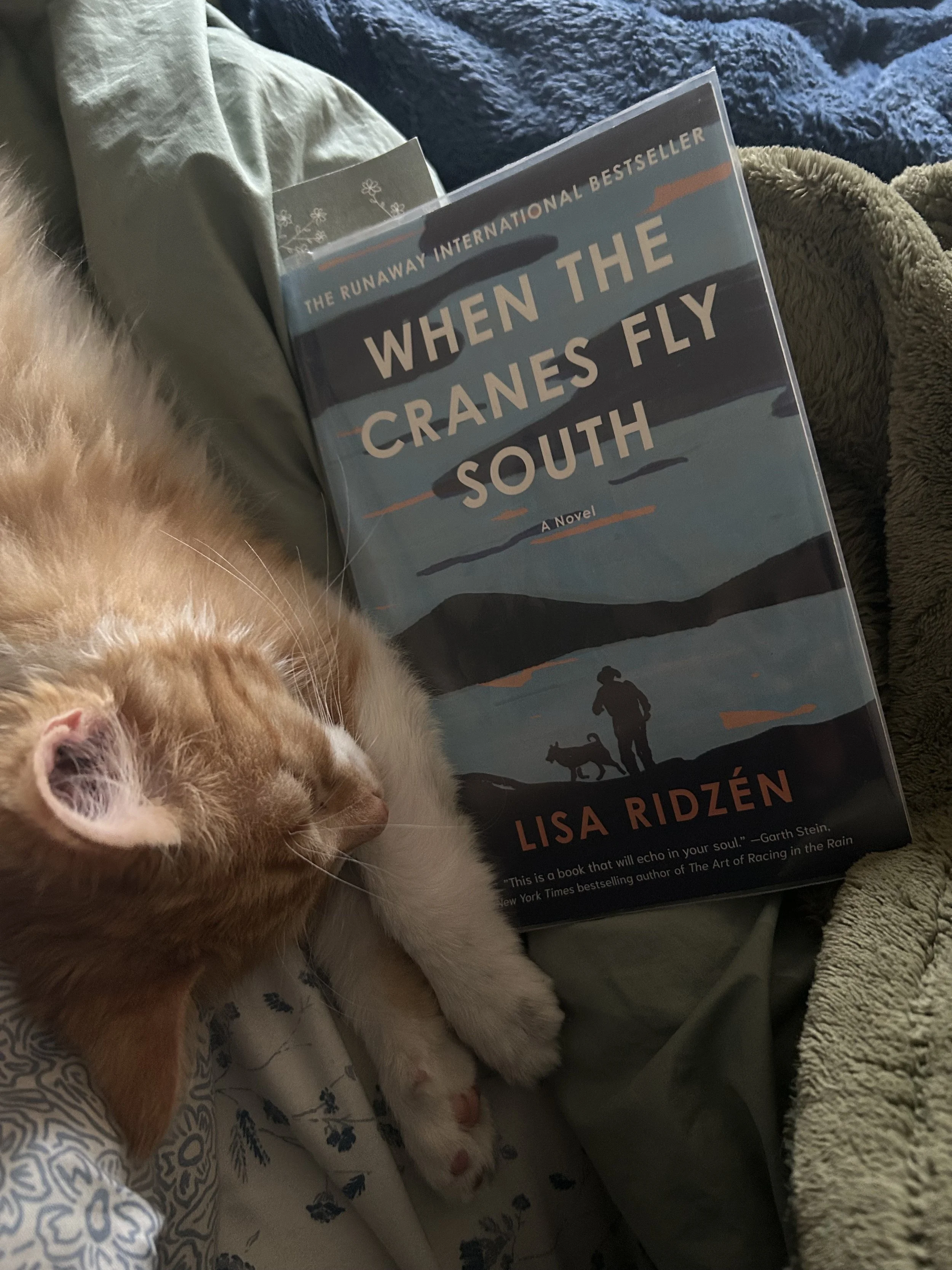 When the Cranes Fly South by Lisa Ridzen                        a little book review