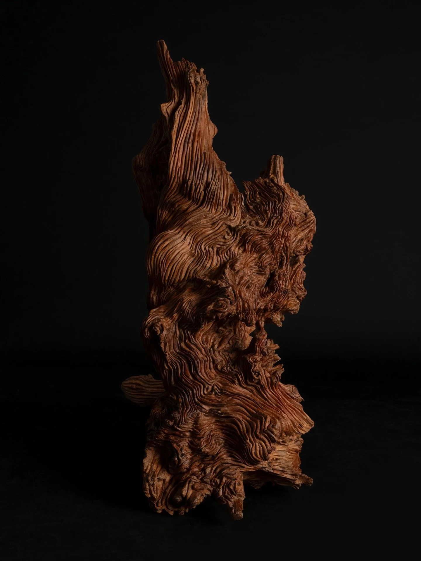 There is something in the shapes offered by nature that speaks to us without raising its voice.
They do not seek to impress. They need no explanation. And yet, they stop us in our tracks.
Perhaps it&rsquo;s because they weren&rsquo;t created to pleas