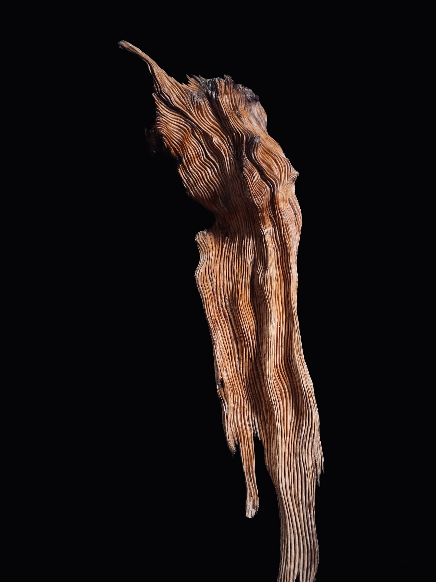 Me alegra compartir que durante los meses de septiembre a noviembre participar&eacute; en &Uacute;NIC, una muestra colectiva en la Galer&iacute;a PERSONAL de Tarragona.
La exposici&oacute;n re&uacute;ne a 27 artistas y artesanos seleccionados de entr