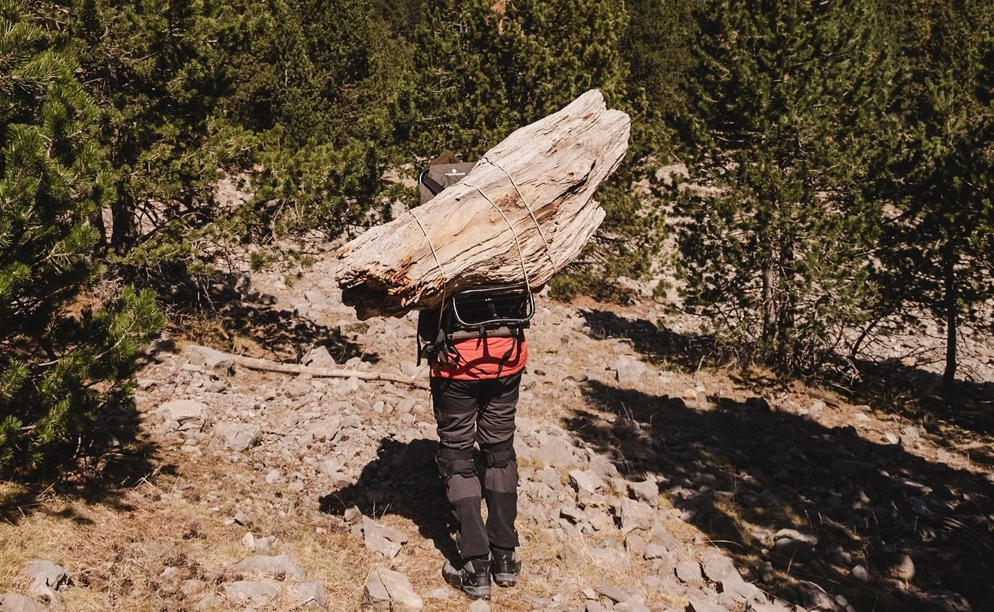 What you see on my back is not the result of logging or plunder.
It is what once was a tree: wood lying among stones, in places where no trace of life remains.
My gesture is a rescue: climbing the mountain, finding what is about to disappear, carryin