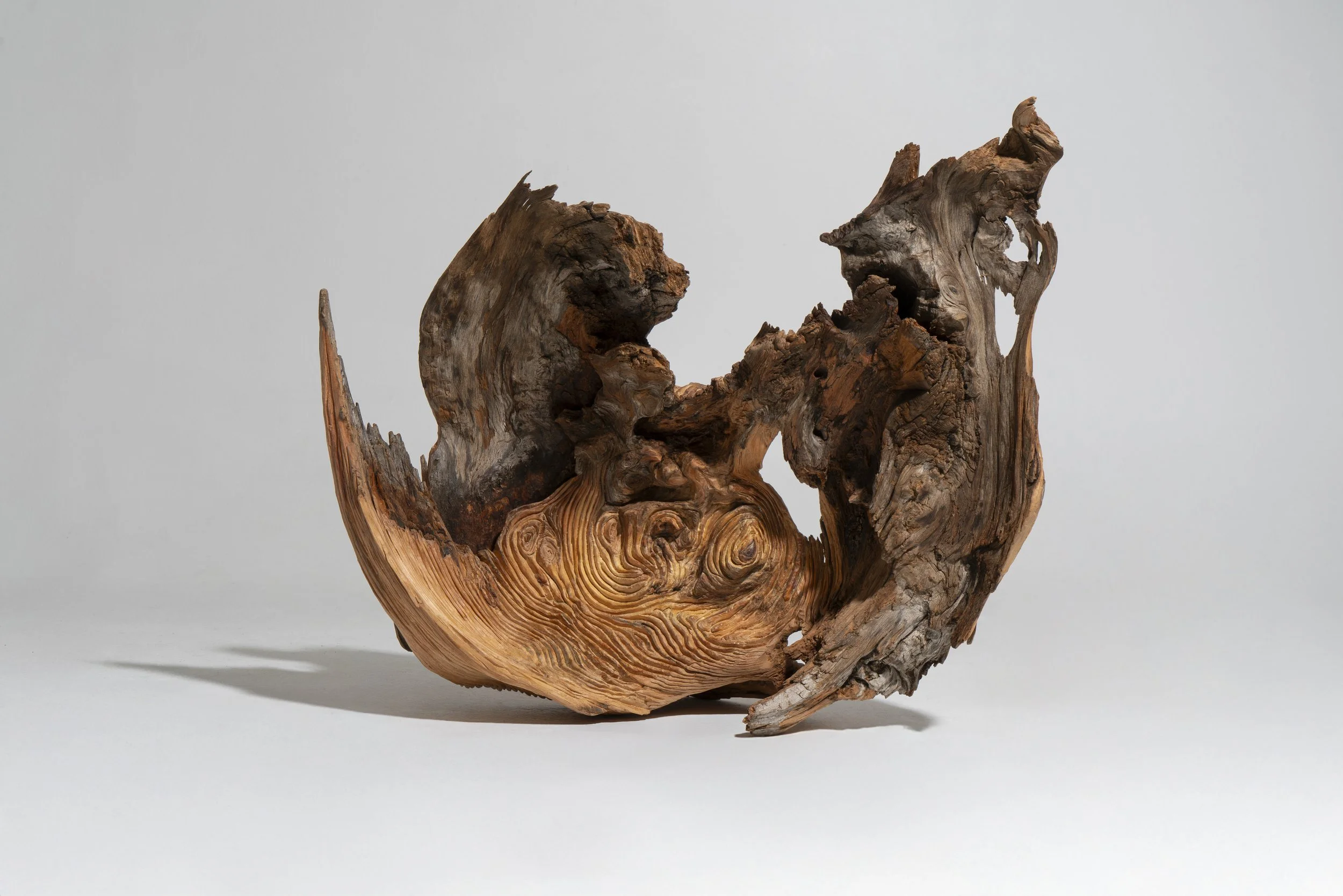 Fons Blanc_Borja_20 2.jpg