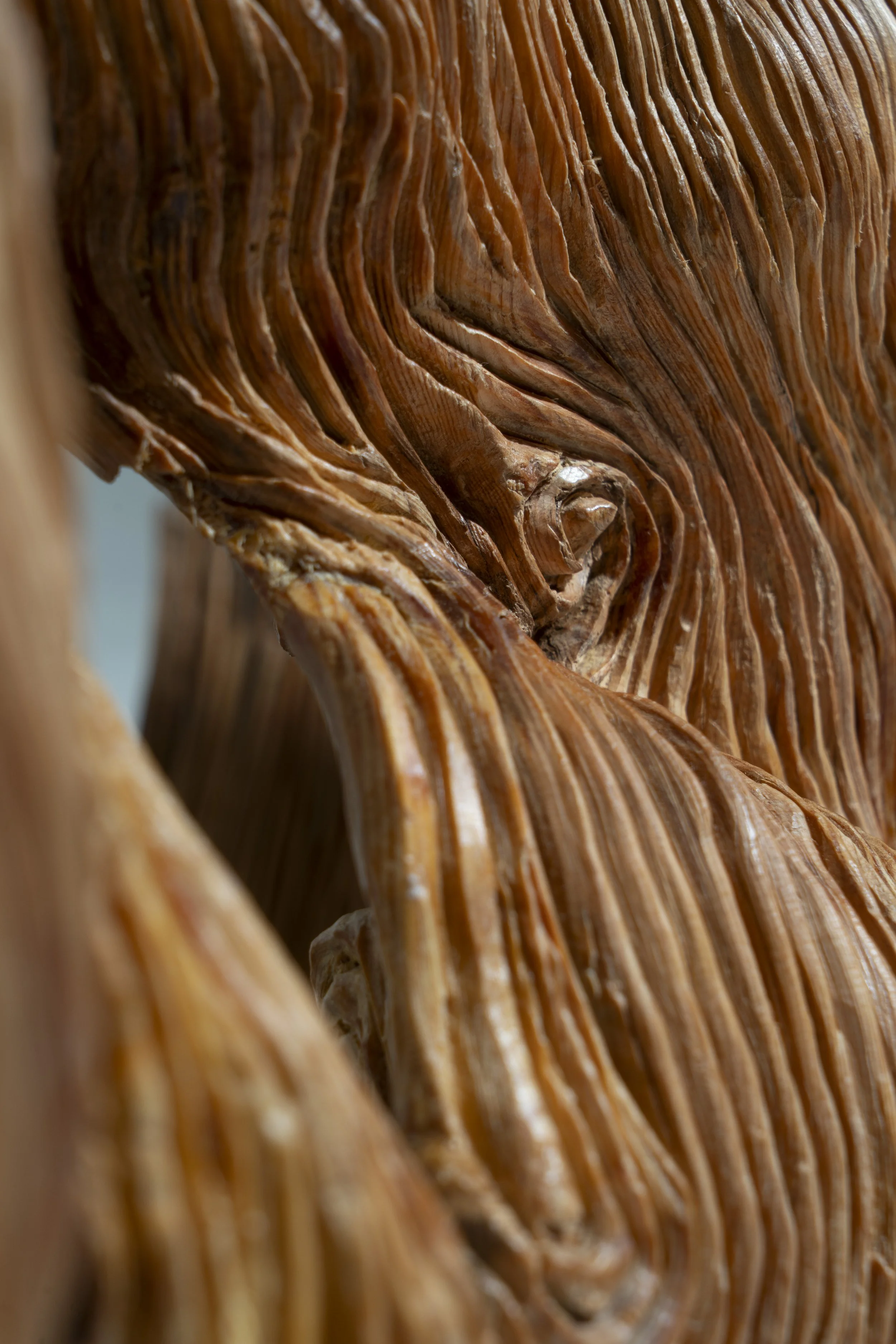 Fons Blanc_Borja_8 2.jpg