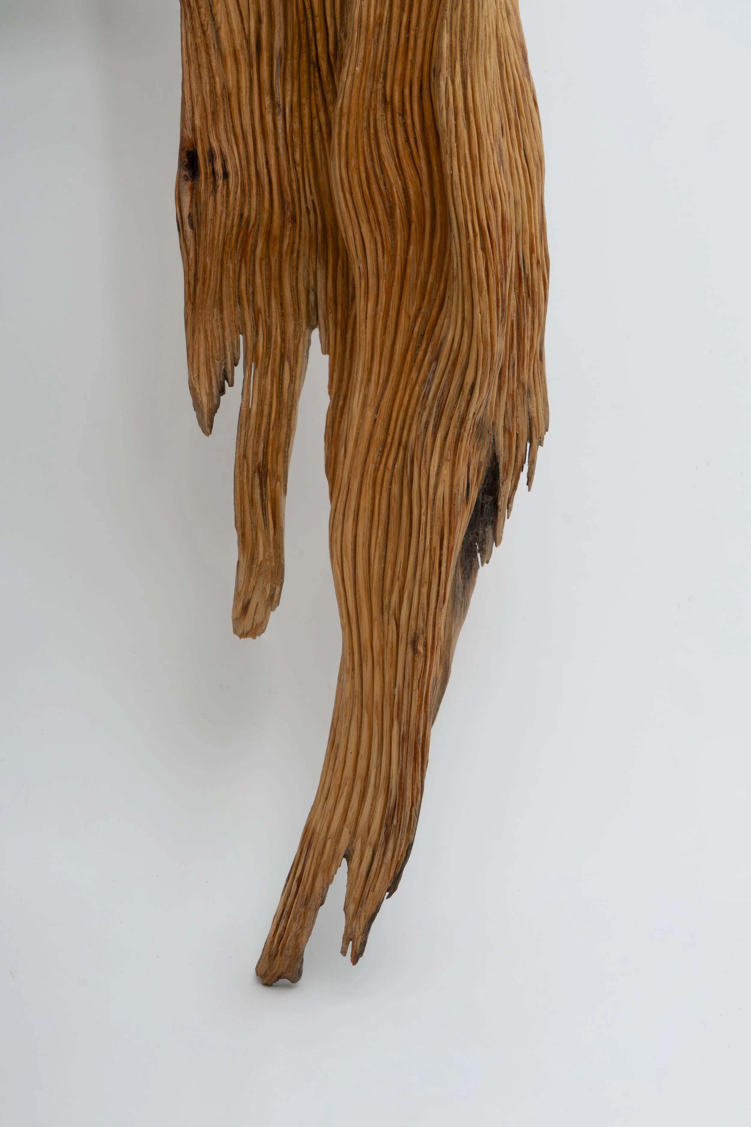 image00001.jpg
