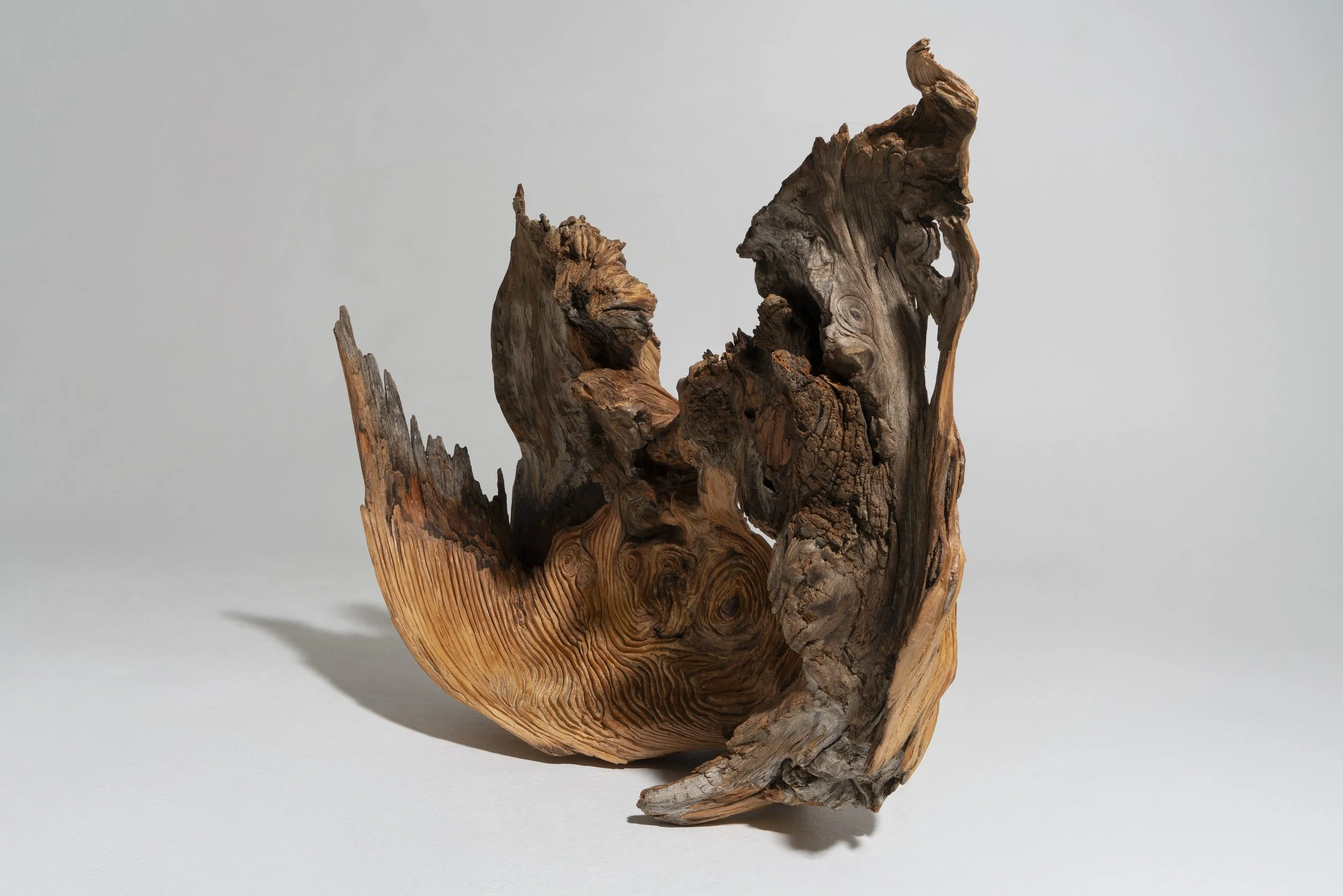 Fons Blanc_Borja_24 2.jpg