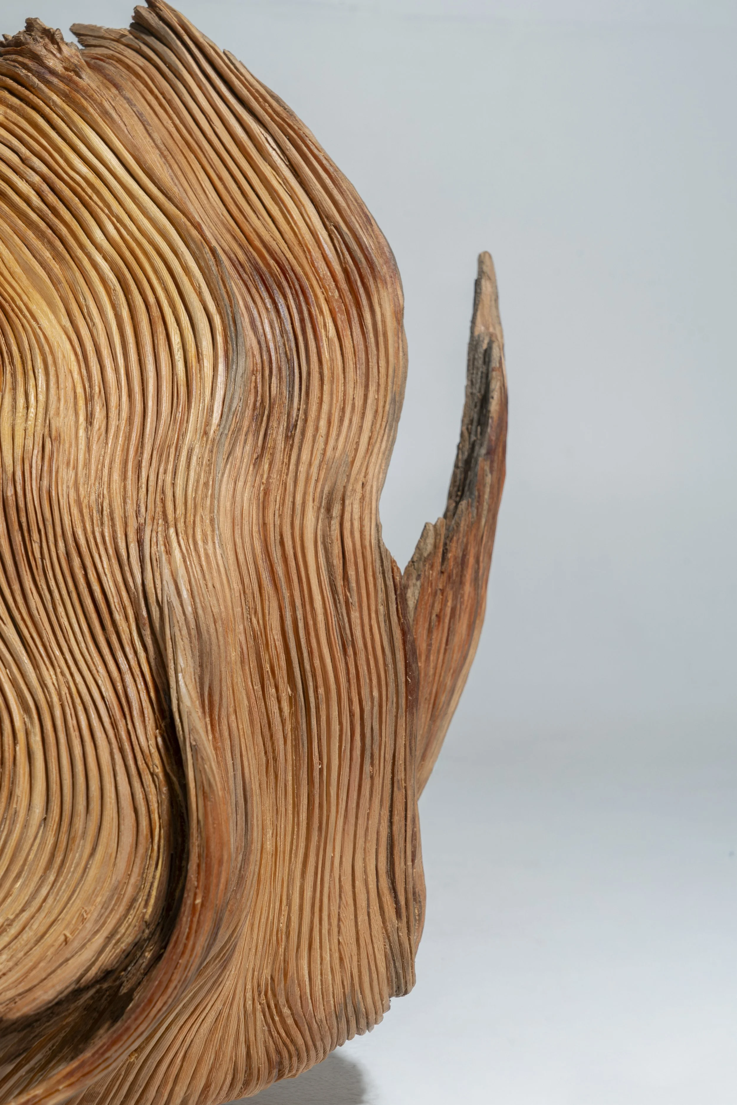 Fons Blanc_Borja_2 2.jpg