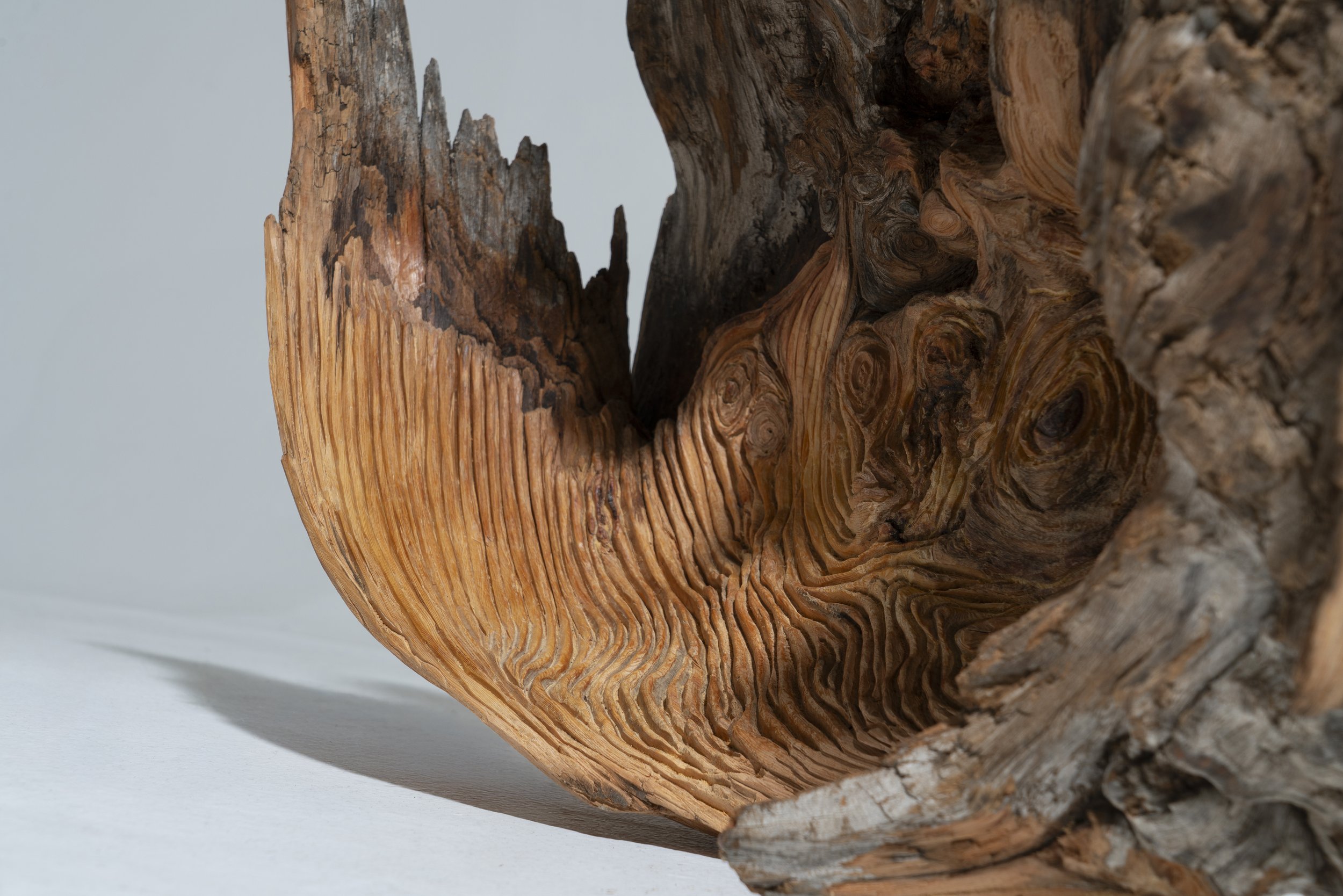 Fons Blanc_Borja_26 2.jpg