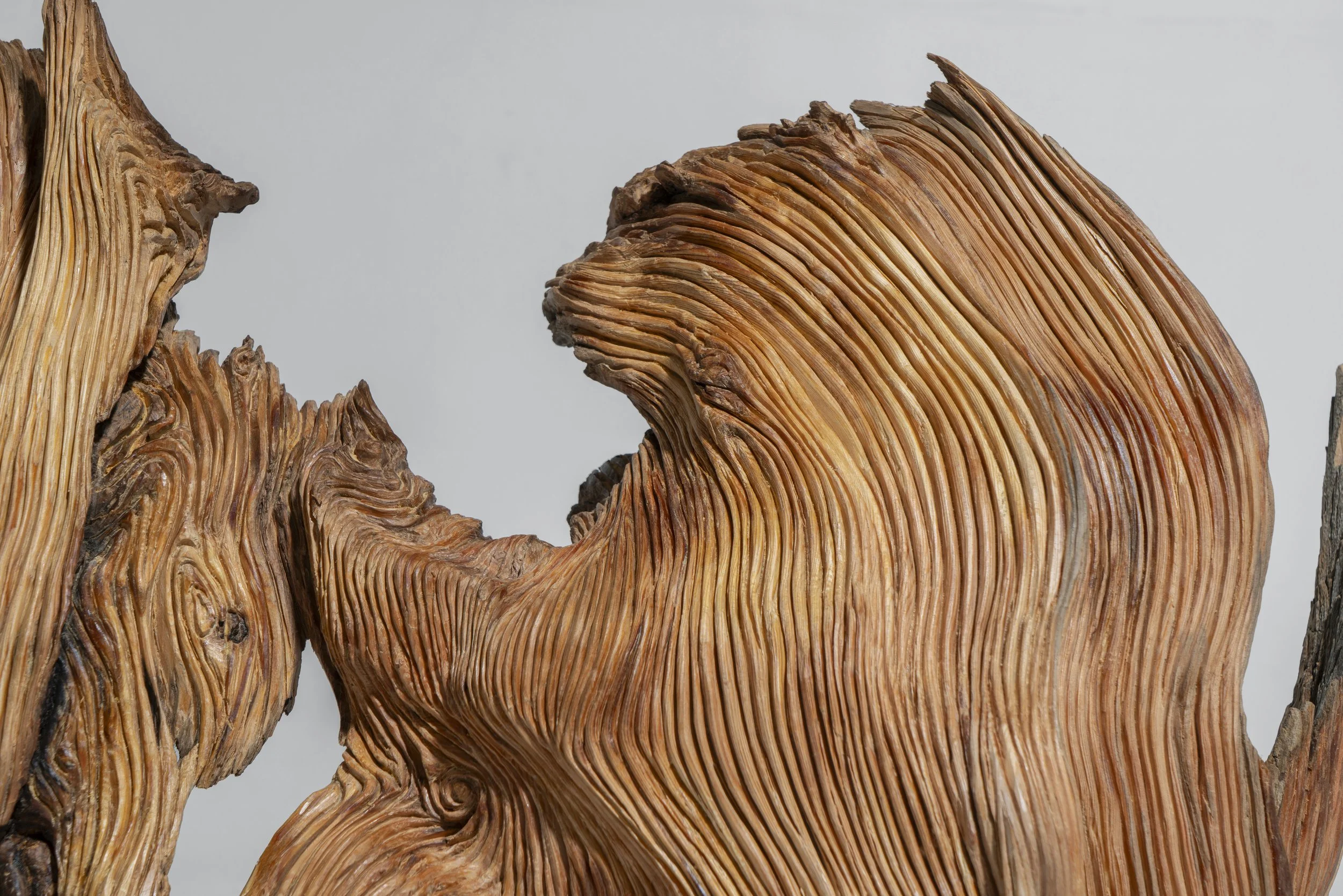 Fons Blanc_Borja_1 2.jpg