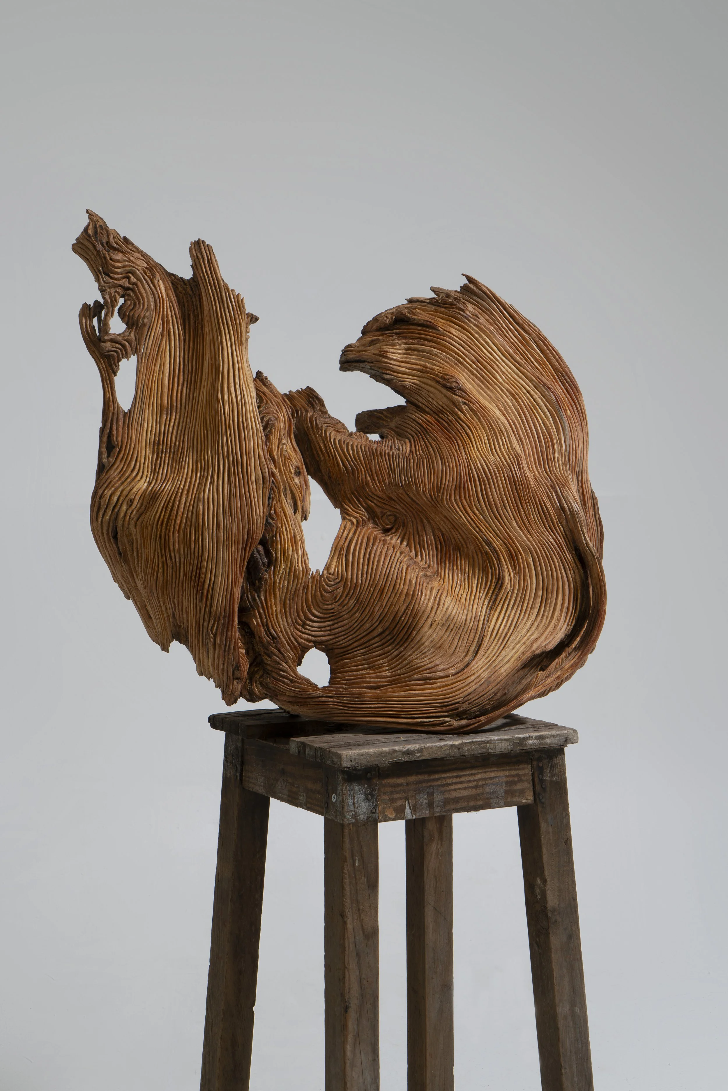 Fons Blanc_Borja_49 2.jpg