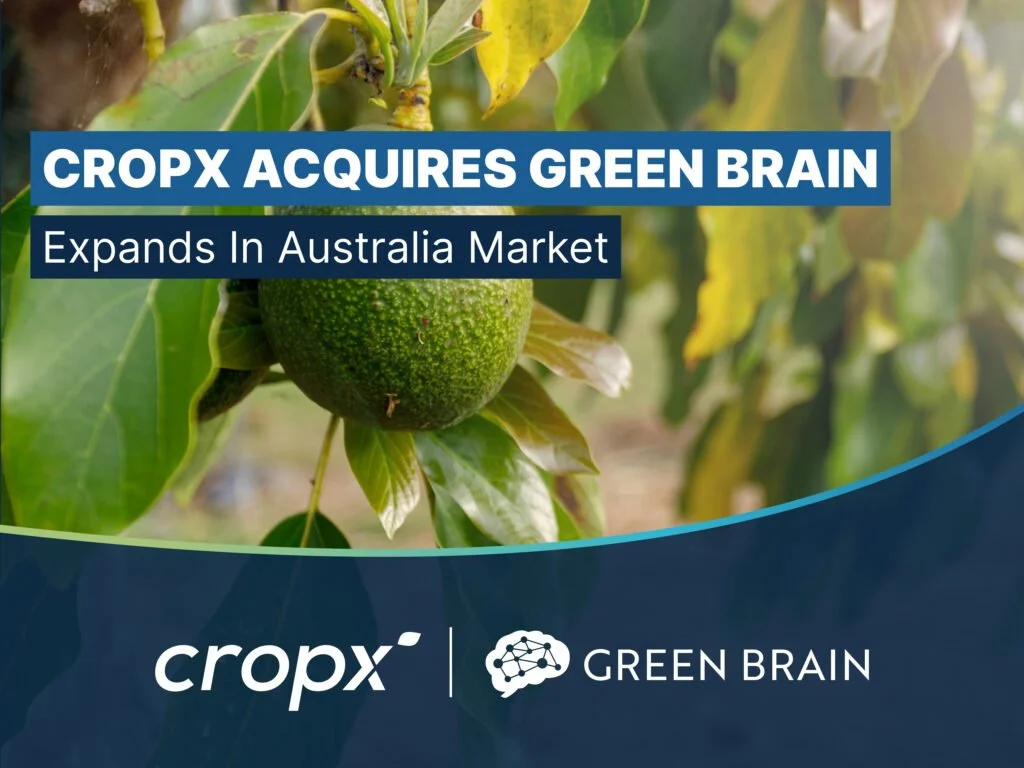 Green-Brain-press-release_final-1024x768.jpg