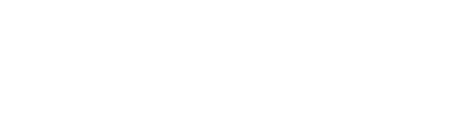 Text reading 'Zalya Üniversel' in white on a black background.