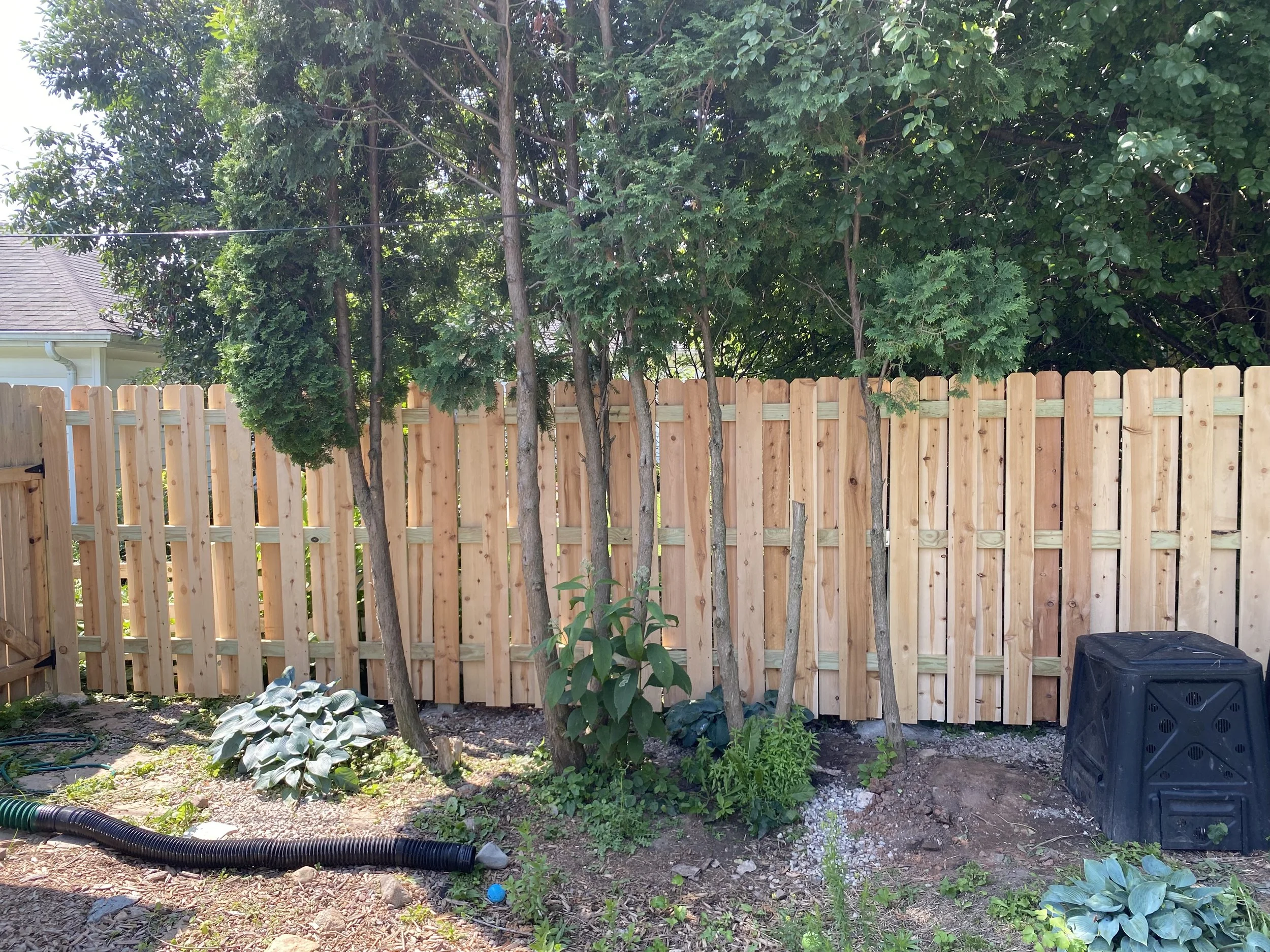 Cedar Fence