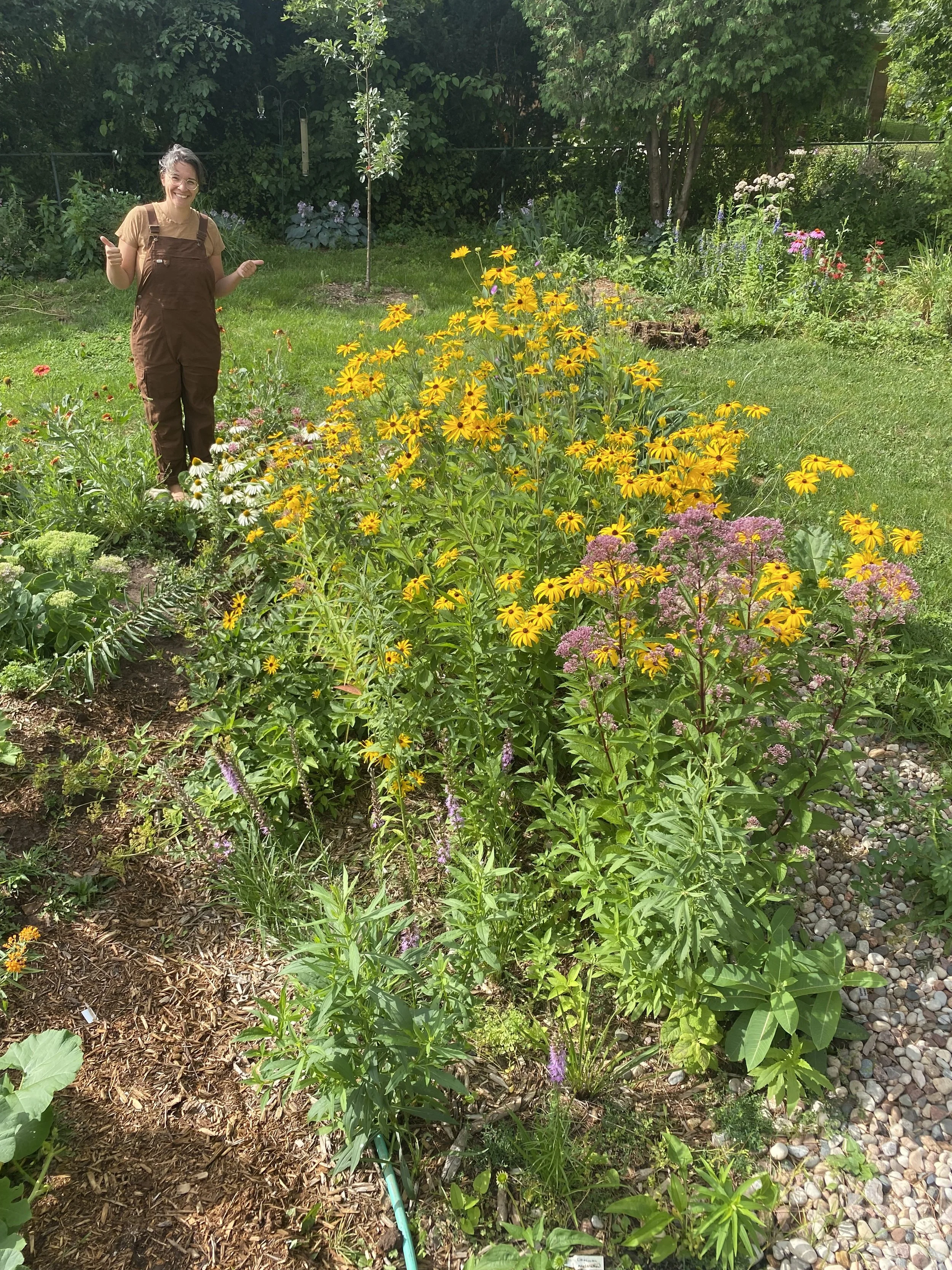 rain garden