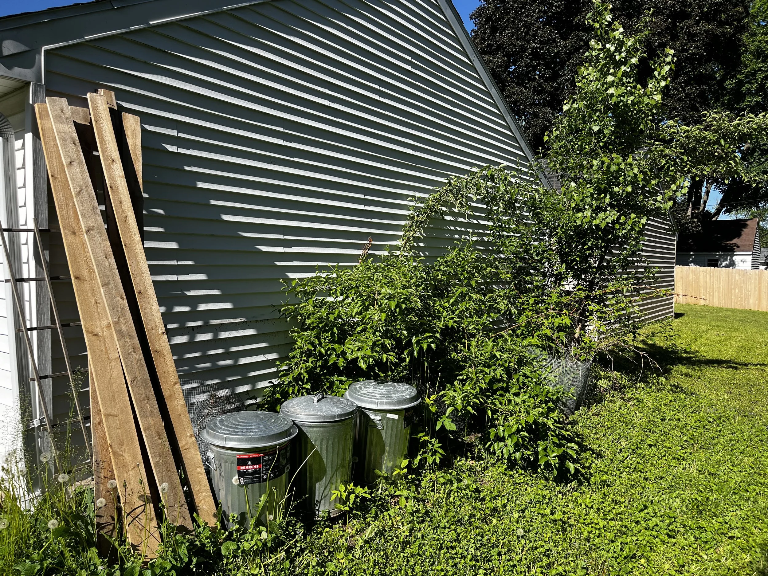 Cleared this area to install raised garden beds