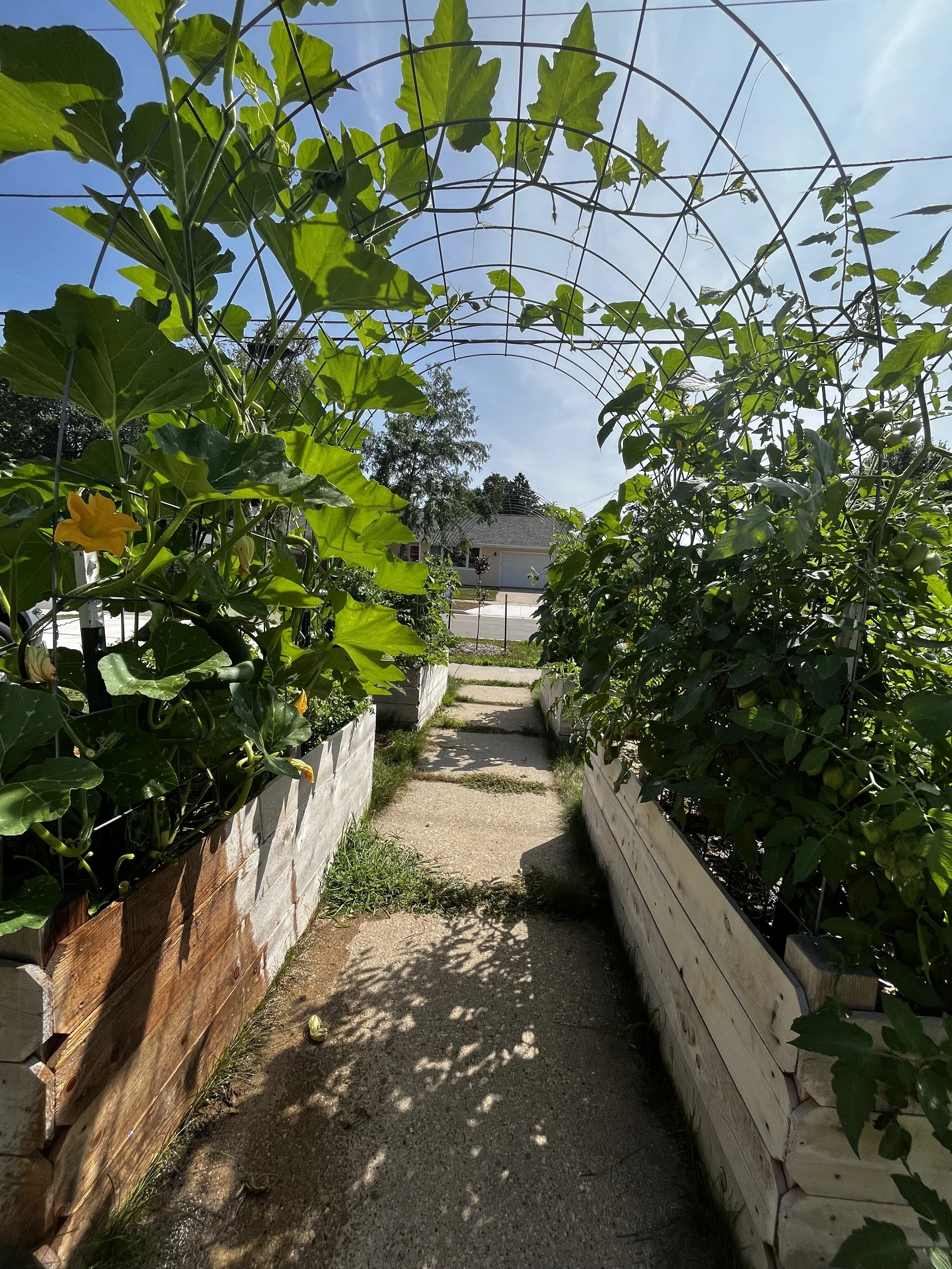 raised garden beds