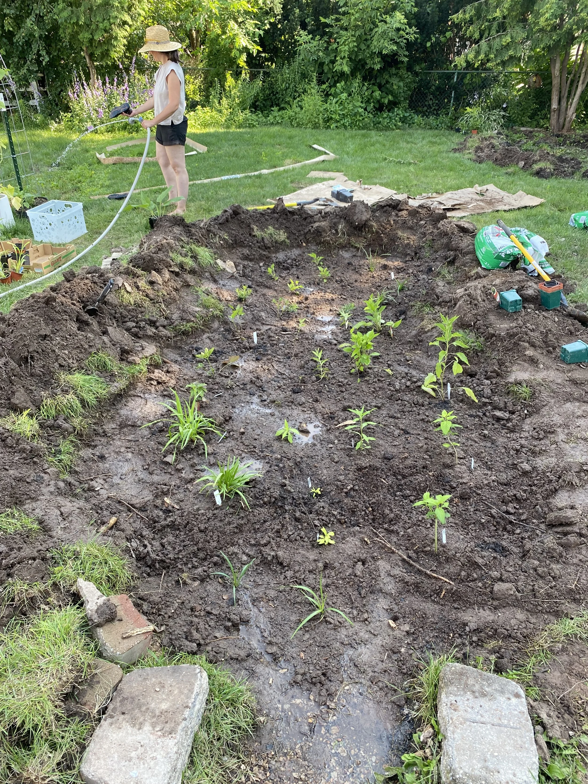 Rain Garden for water issues in your yard.
