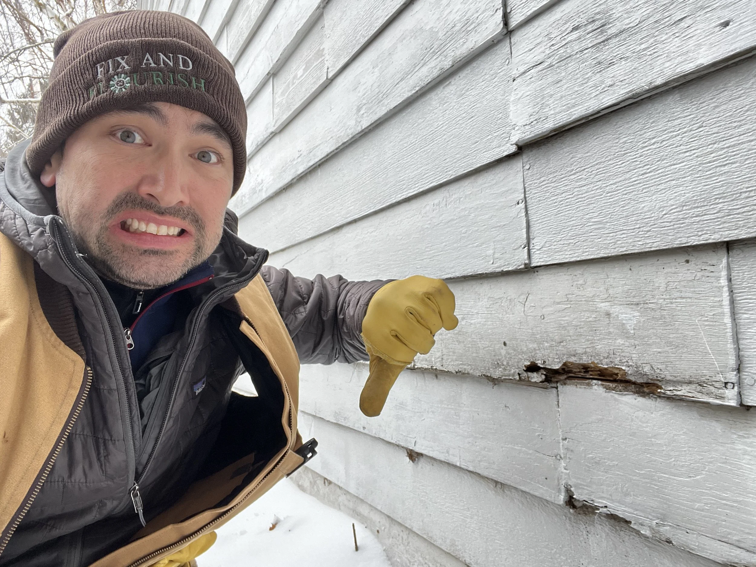 dry rot on siding