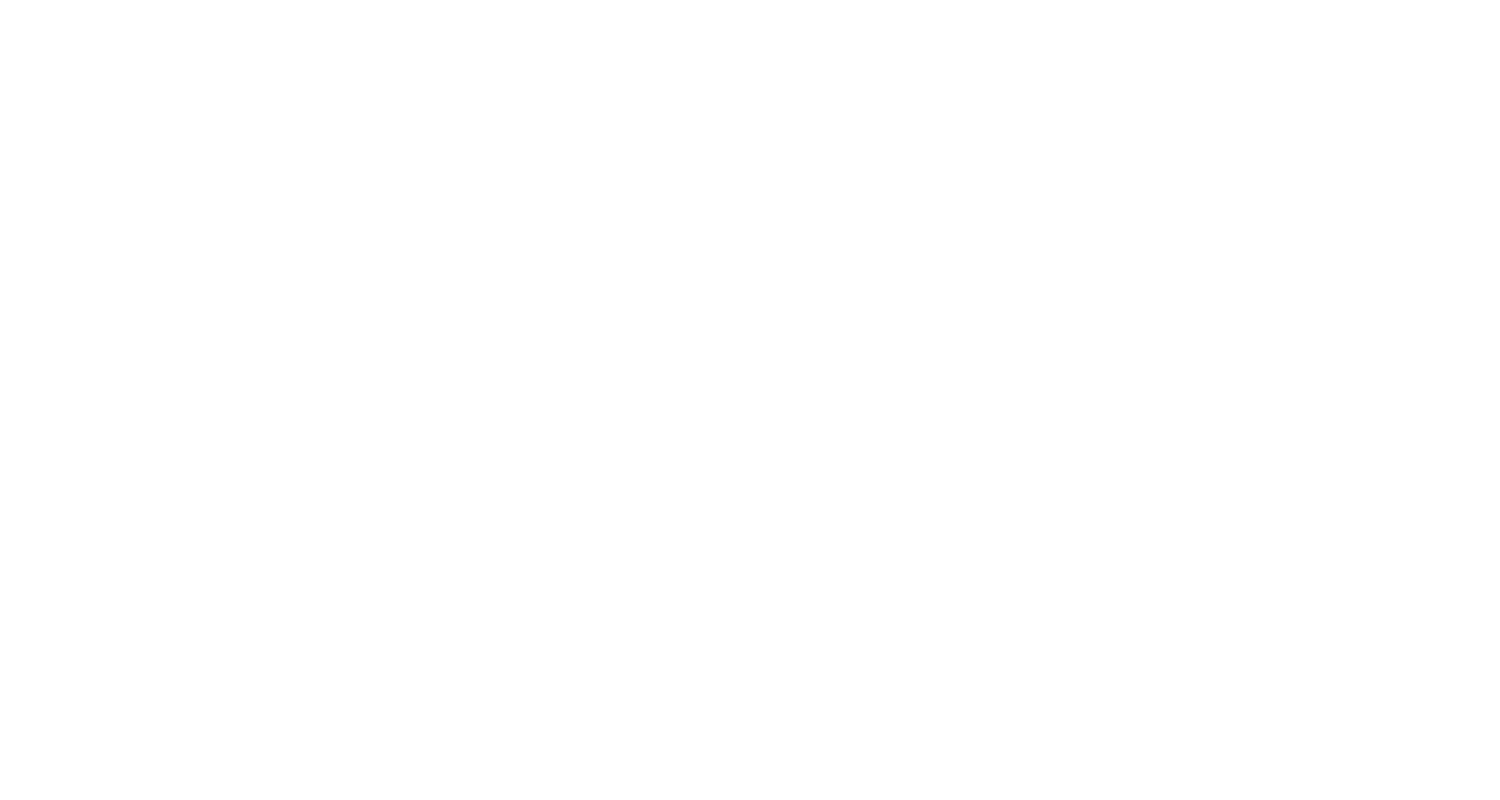 Mick Guinness