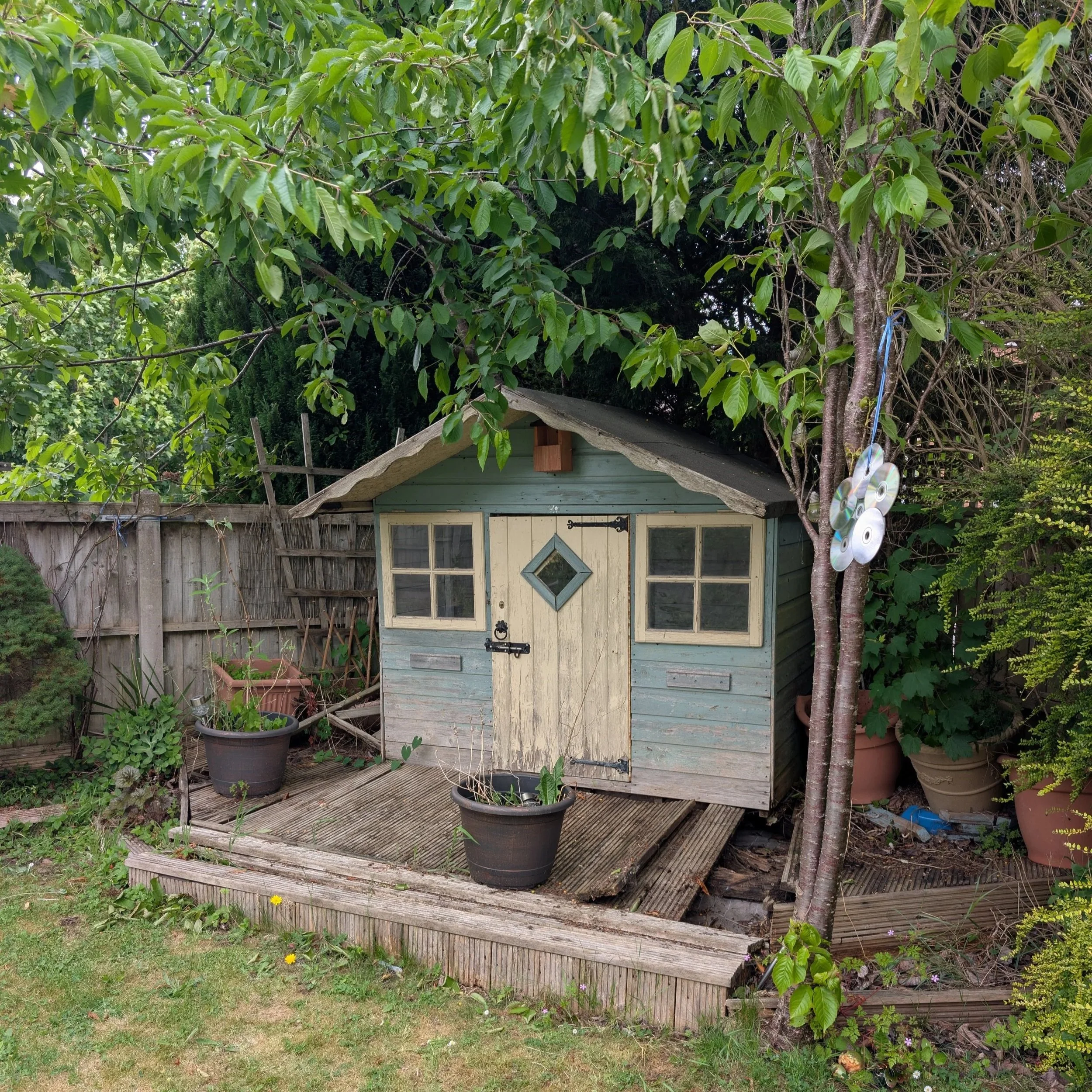 A small weathered wooden garden shed with a peaked roof. It has beige and blue walls, a diamond-shaped window in the door, and two small windows on either side. Potted plants surround the shed, and there is a tree with DVD discs hanging from it on th