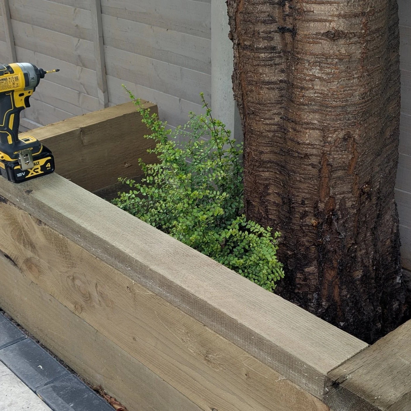 A wooden planter box with a cordless drill on top, surrounding a large tree with green shrubbery at its base, next to a wooden fence.