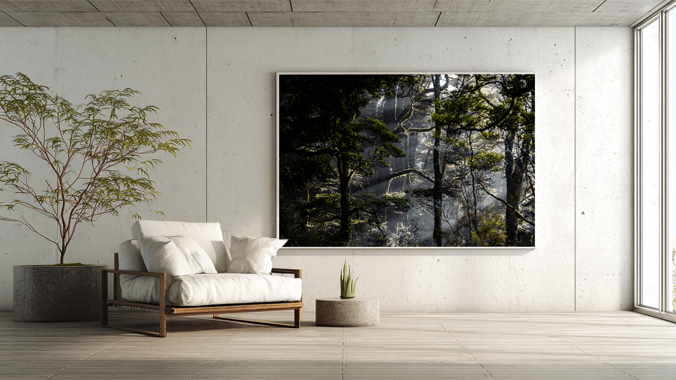 Wall Art Photo 1 (1).png