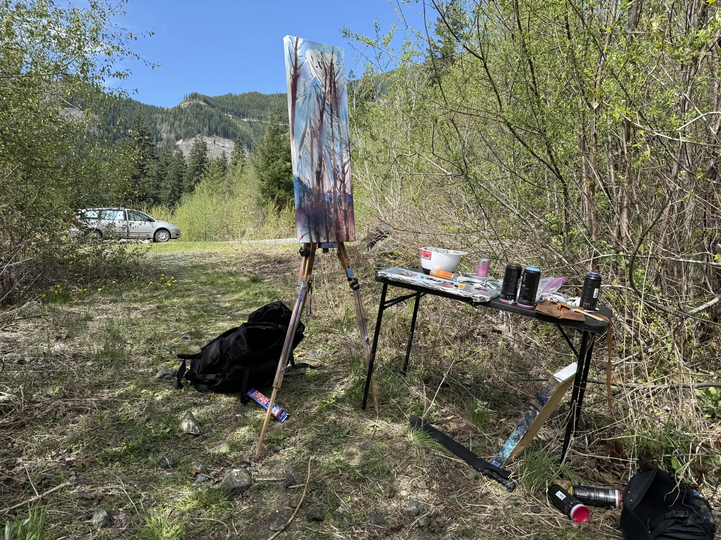 Middle Fork Nooksack