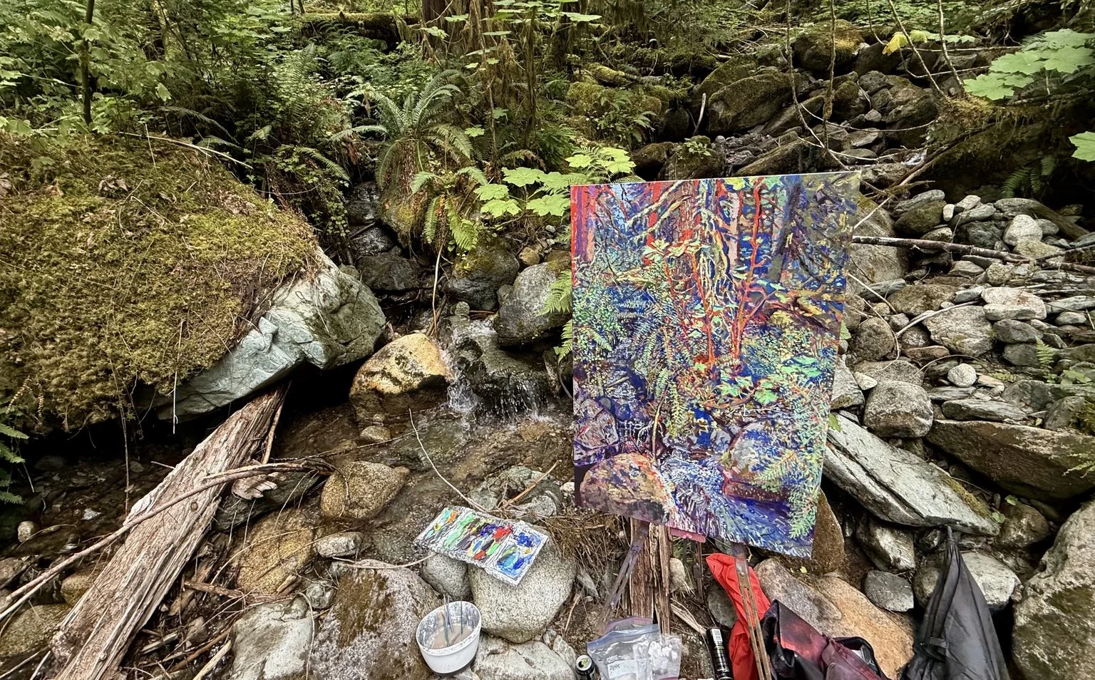 Stealhead Creek