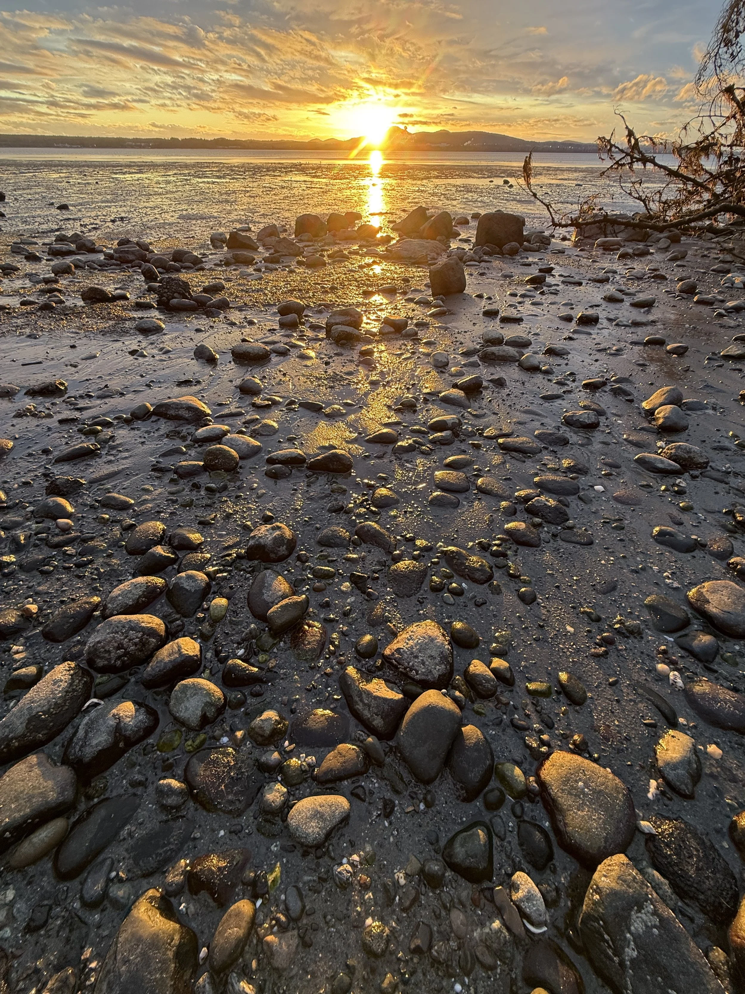A rocky shoreline at sunset with the sun setting over distant hills, casting a golden reflection on the wet stones and water.
