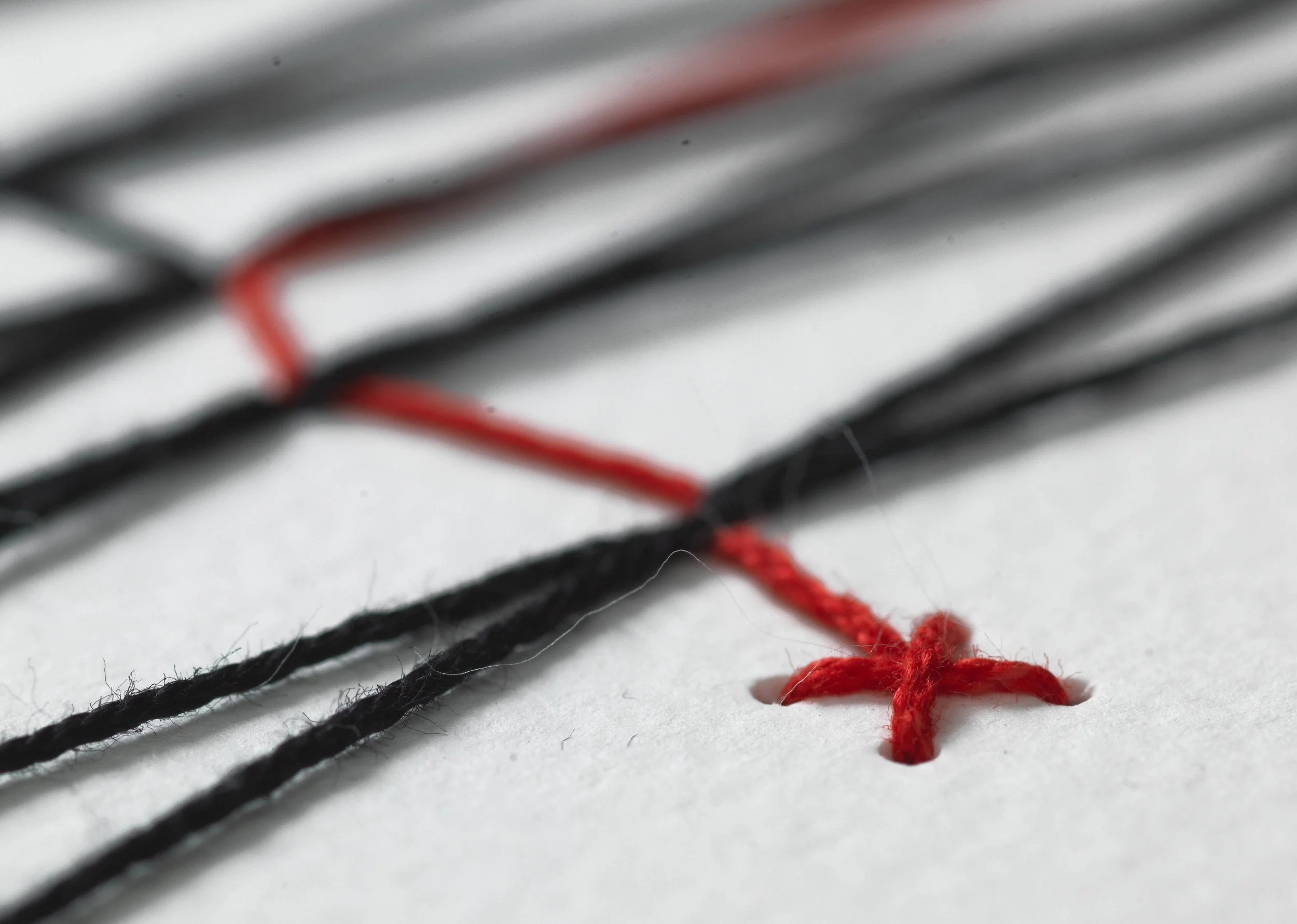 Cruz Roja Chilena - Reunidos