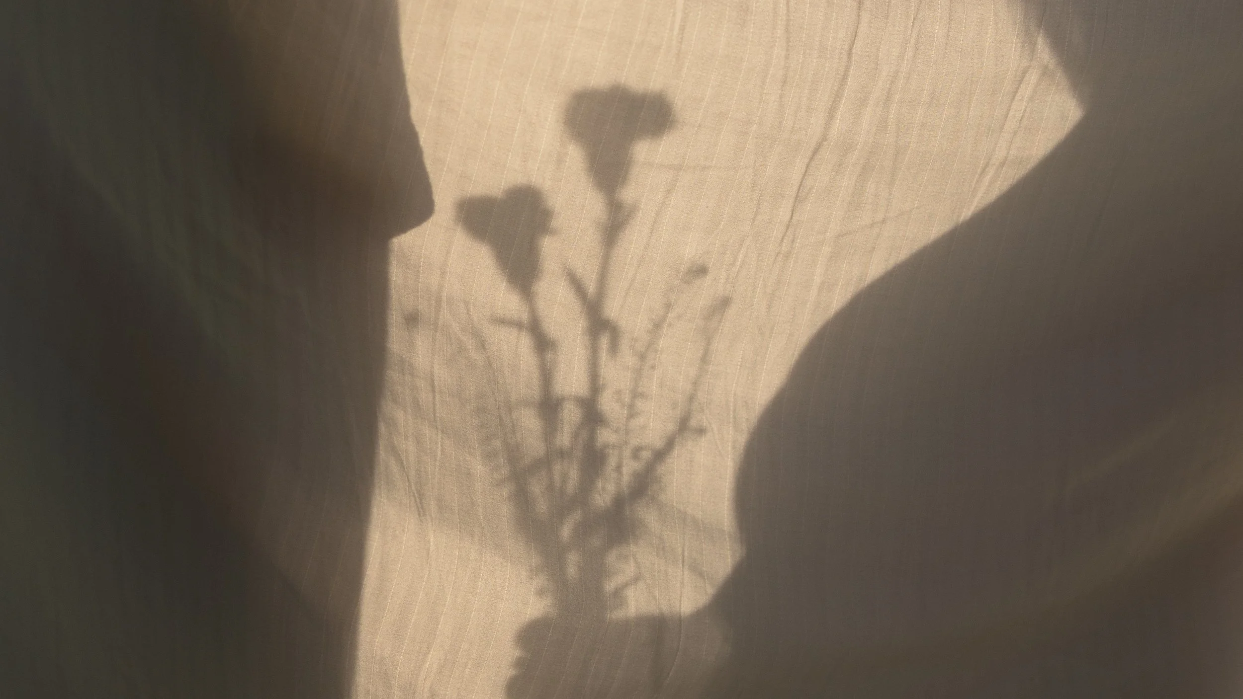 Shadow of a flower on a beige fabric surface.
