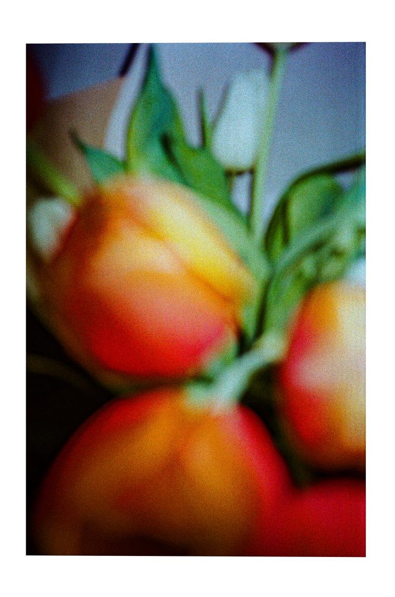 IMG_5120.jpeg