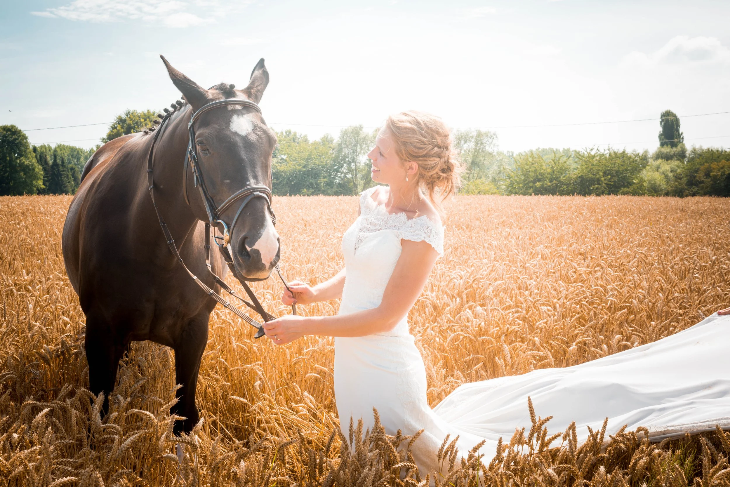 Een vrouw in een witte trouwjurk die met een paard in een graanveld staat op een zonnige dag.