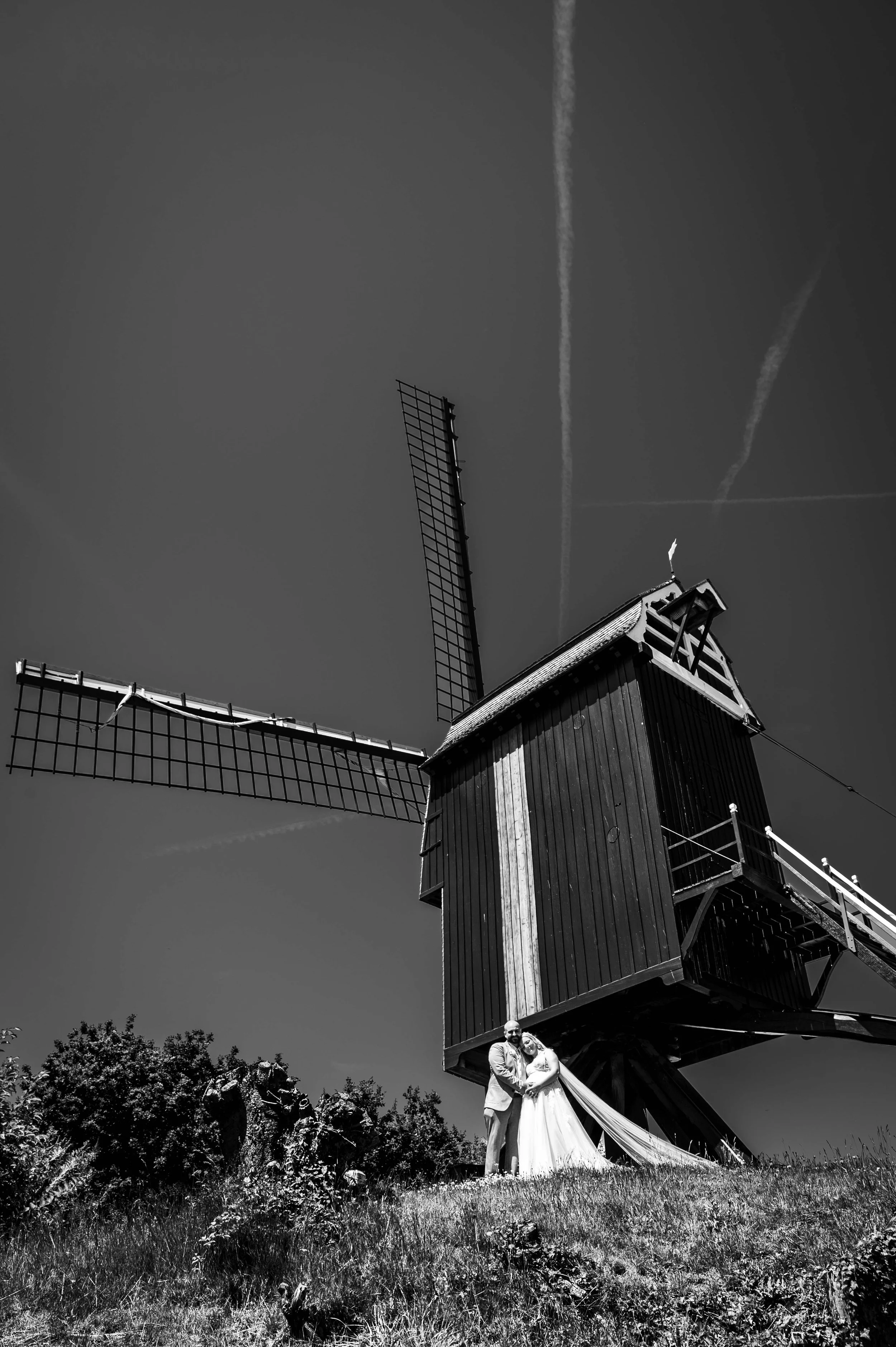 website-1.jpg