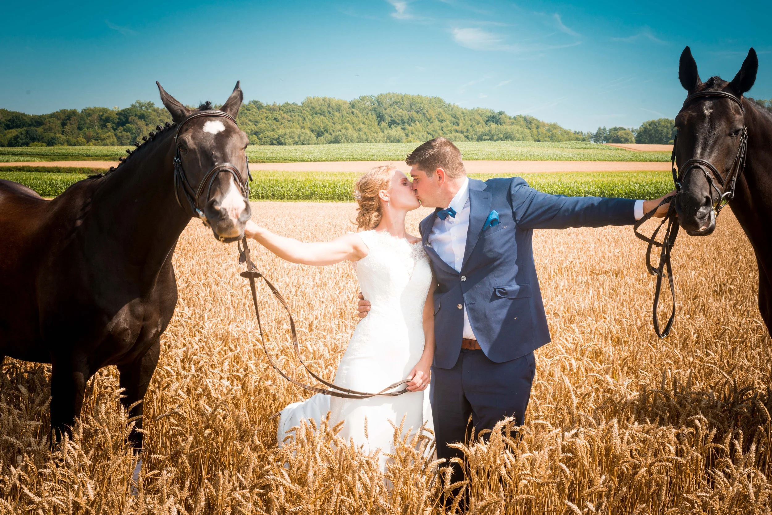 Een bruid en bruidegom die elkaar kussen in een veld met tarwe, met twee paarden op de achtergrond onder een blauwe hemel.