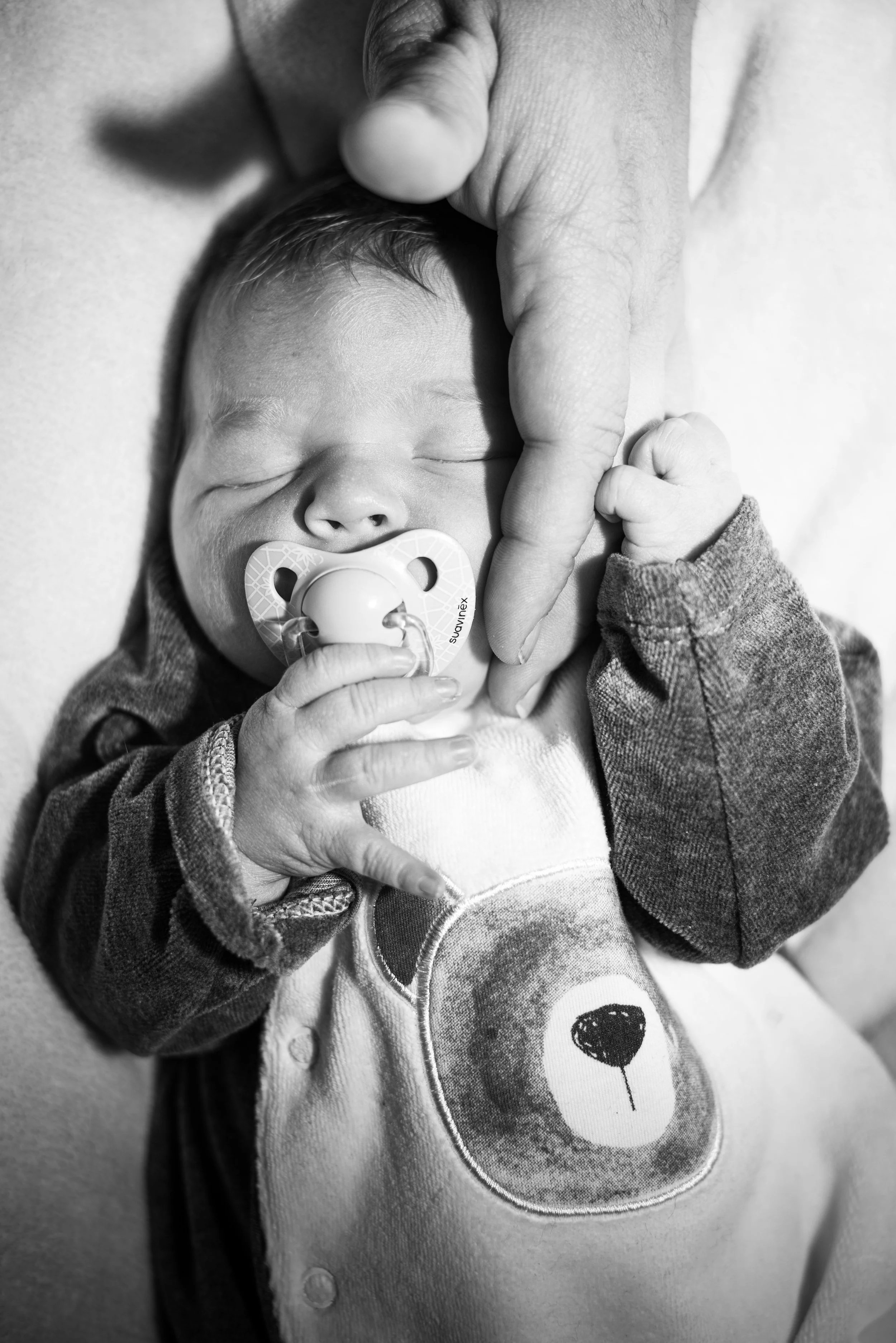 Zwart-wit foto van een slapende baby met een pacifier, vasthoudend aan een hand, met een teddybeer op de kleding.