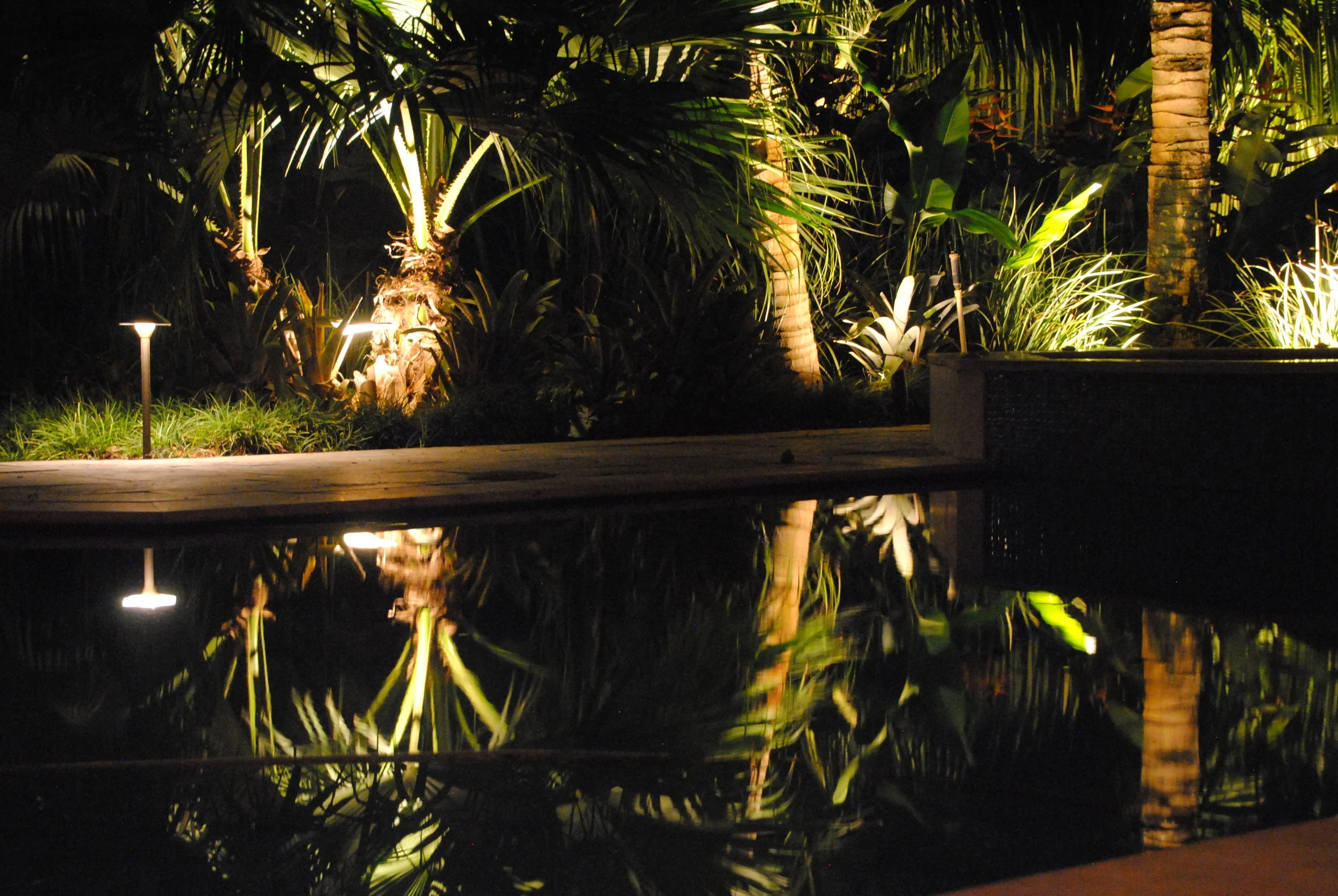 Nighttime garden scene with illuminated palm trees and plants reflected in a still body of water.