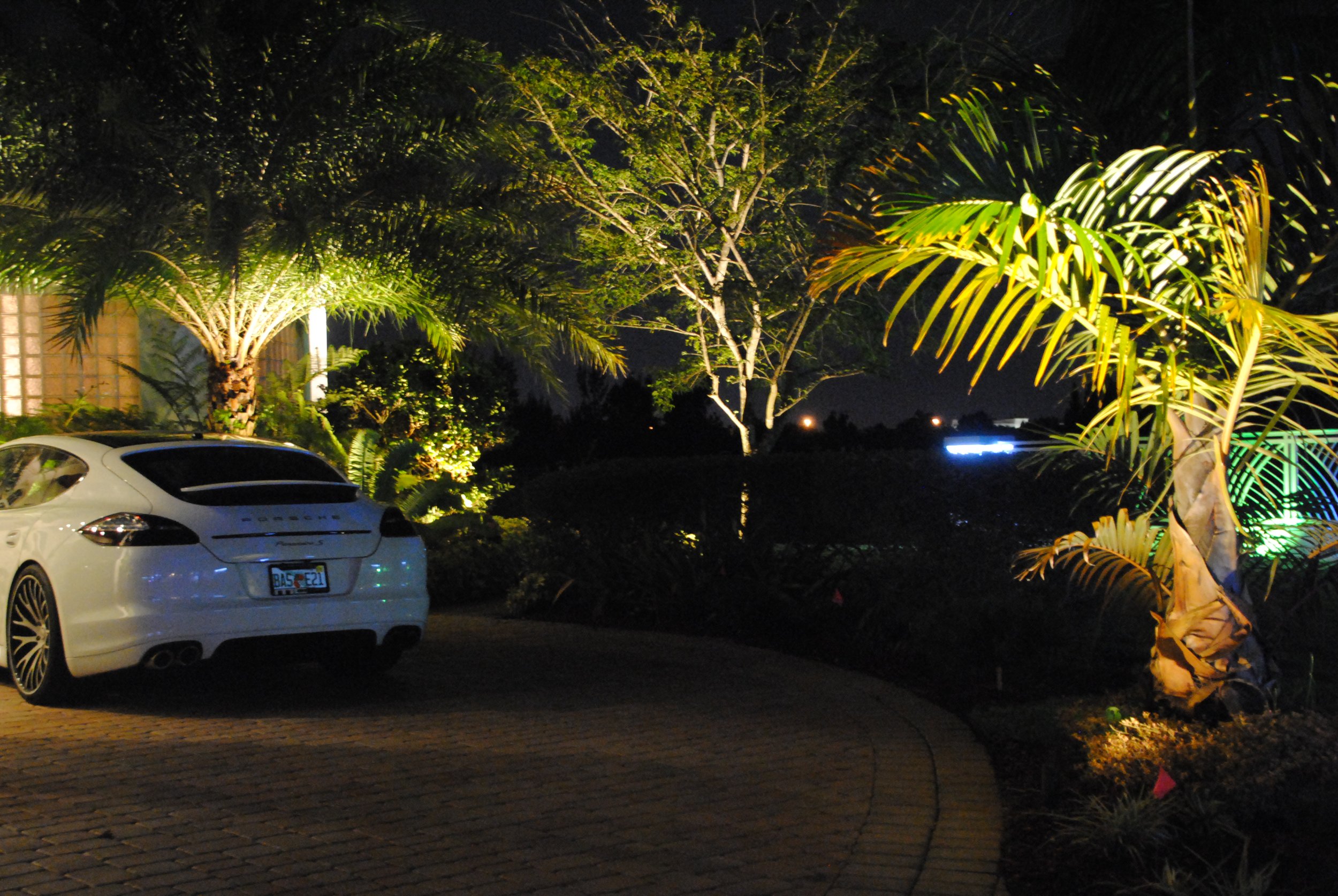 Nighttime scene with illuminated tropical plants and trees, and a white Porsche parked on a brick driveway.