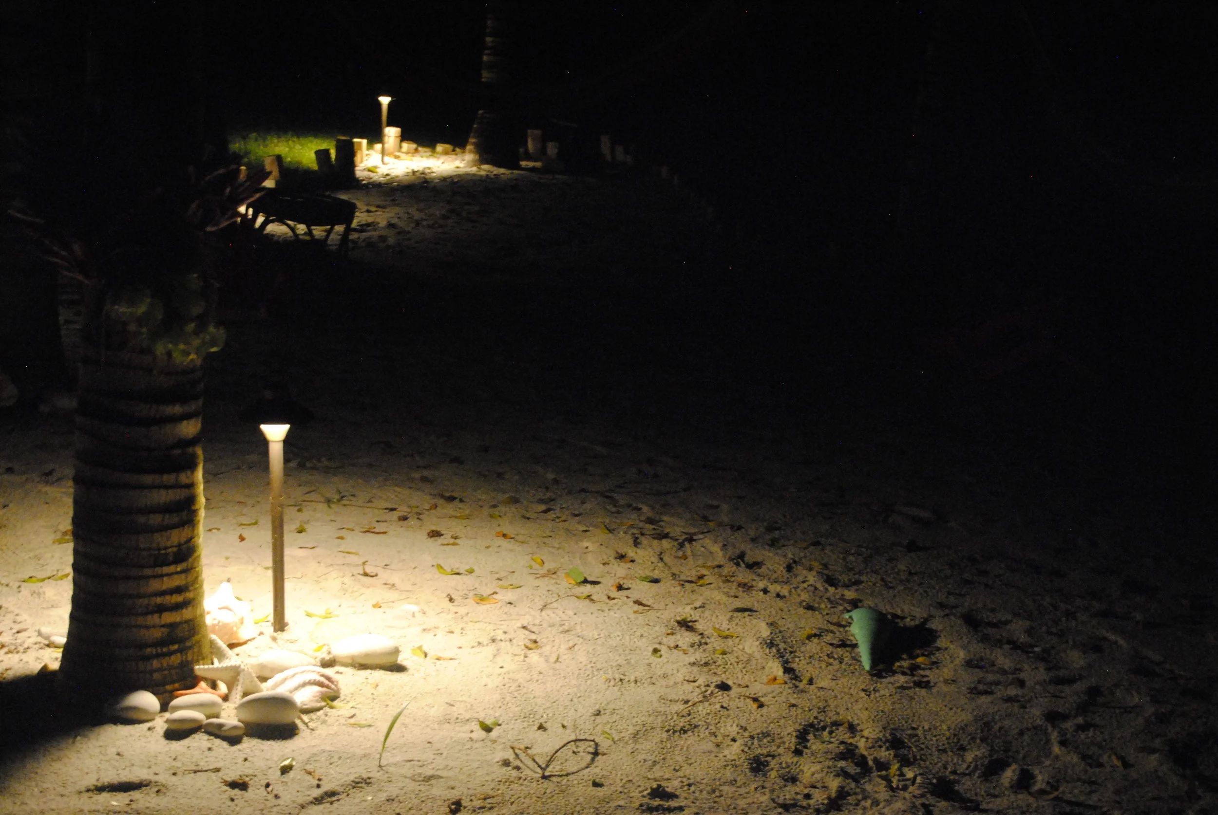 Night scene of a sandy beach with illuminated palm tree, small path lights, and scattered shells and leaves.