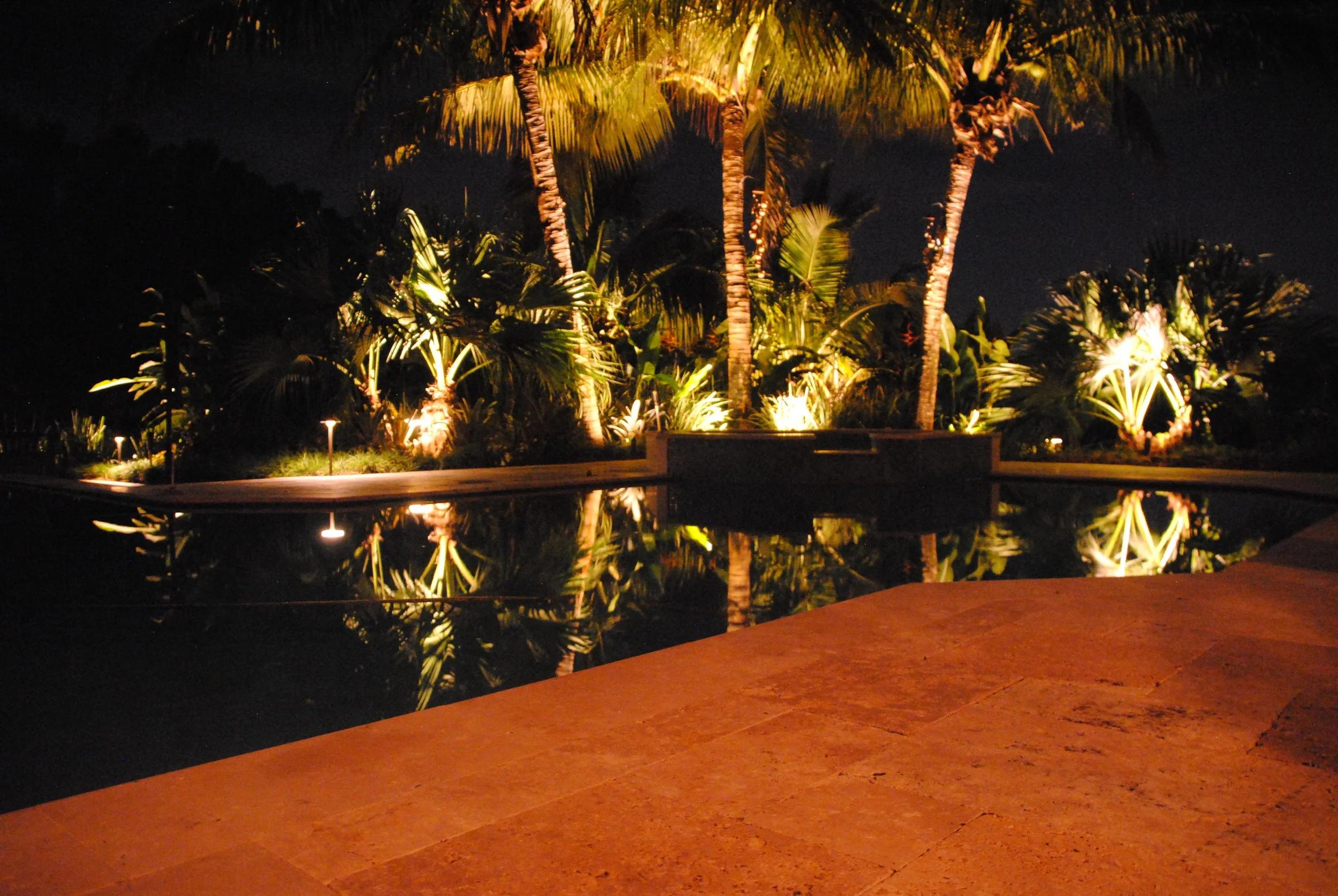 Nighttime view of a tropical garden with palm trees illuminated by lights, reflecting in a swimming pool, with a tiled paving area in the foreground.