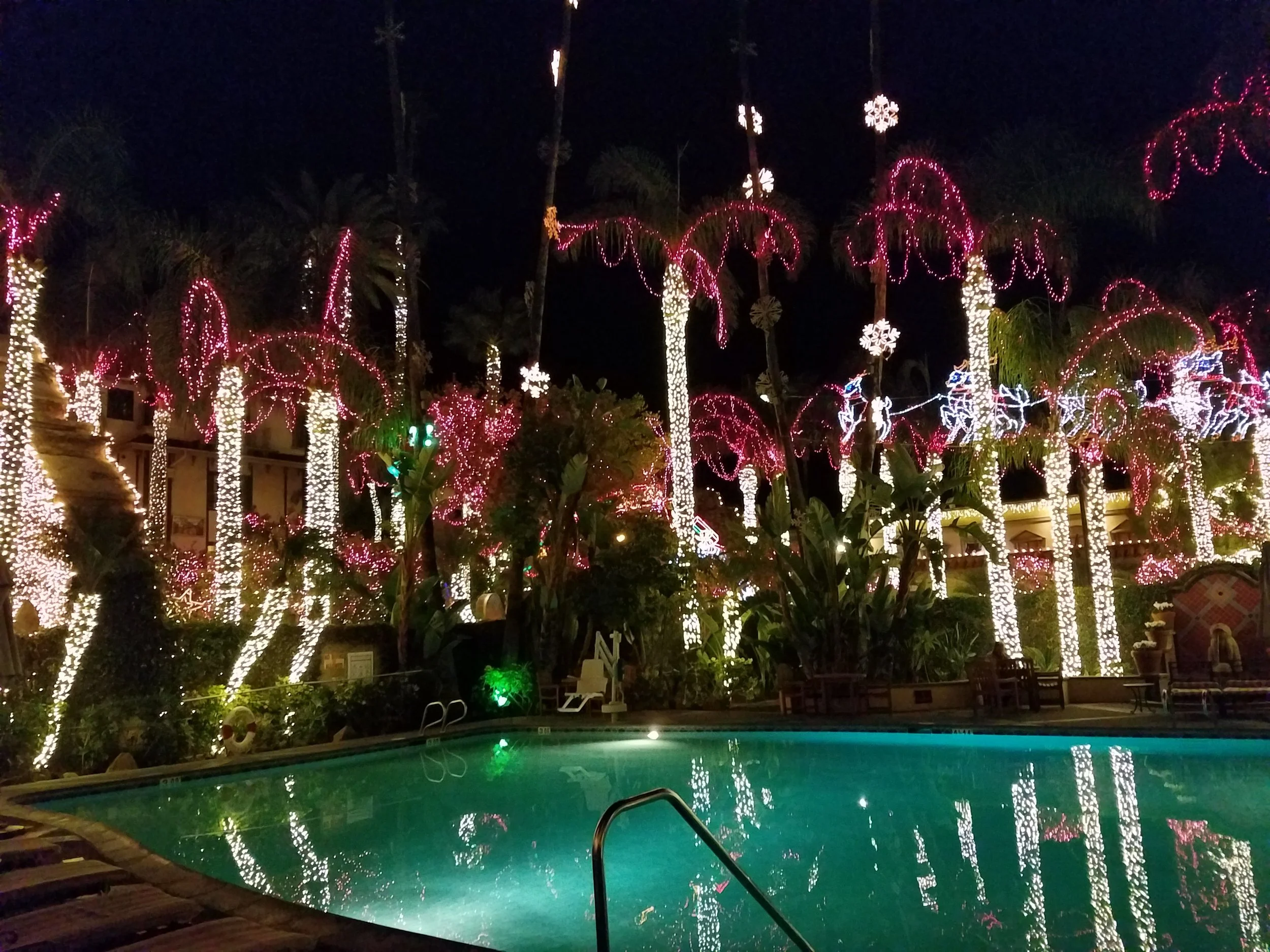 Nighttime view of a swimming pool with tropical trees wrapped in colorful Christmas lights, including pink, white, and blue string lights, and illuminated snowflake decorations hanging from the trees.