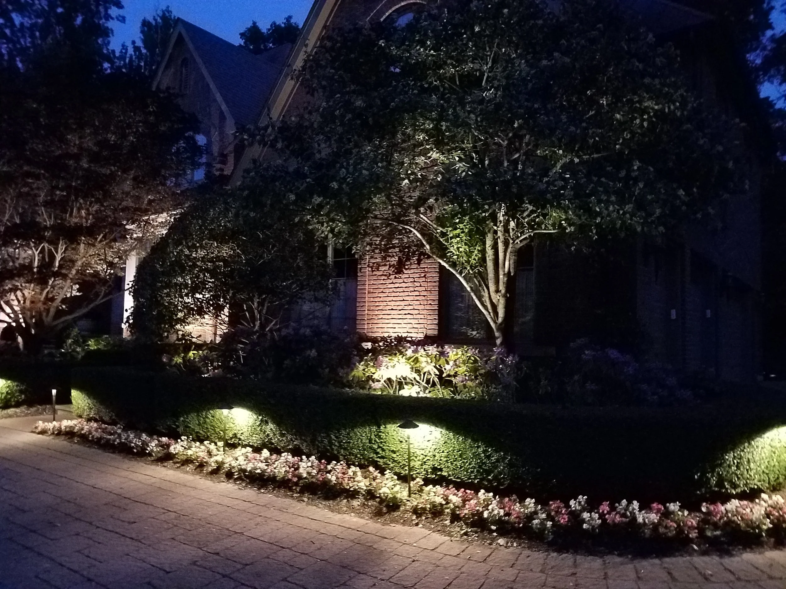 Nighttime view of a garden with lit pathway, trimmed hedges, a large tree, and a brick house in the background.