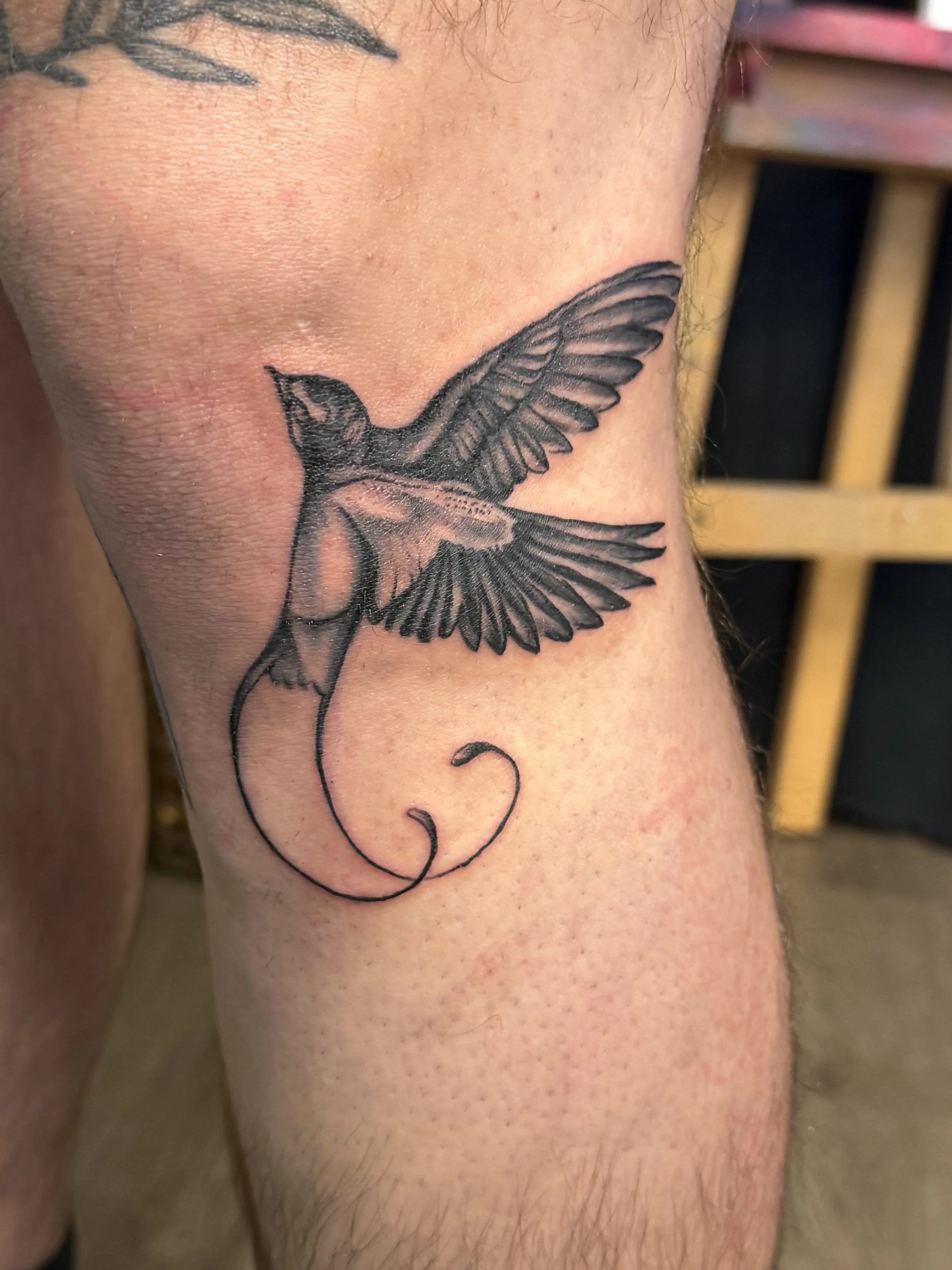 Sioux Falls South Dakota Tattoo Shop. Apex Ink. A detailed black and gray tattoo of a hummingbird in flight on a person's arm.