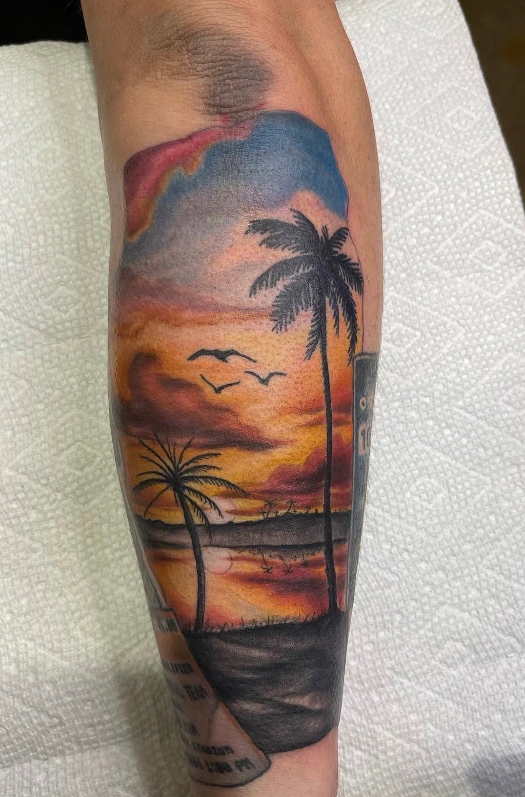 Sioux Falls South Dakota Tattoo Shop. Apex Ink. Colorful sunset with palm trees, seagulls, and mountains.