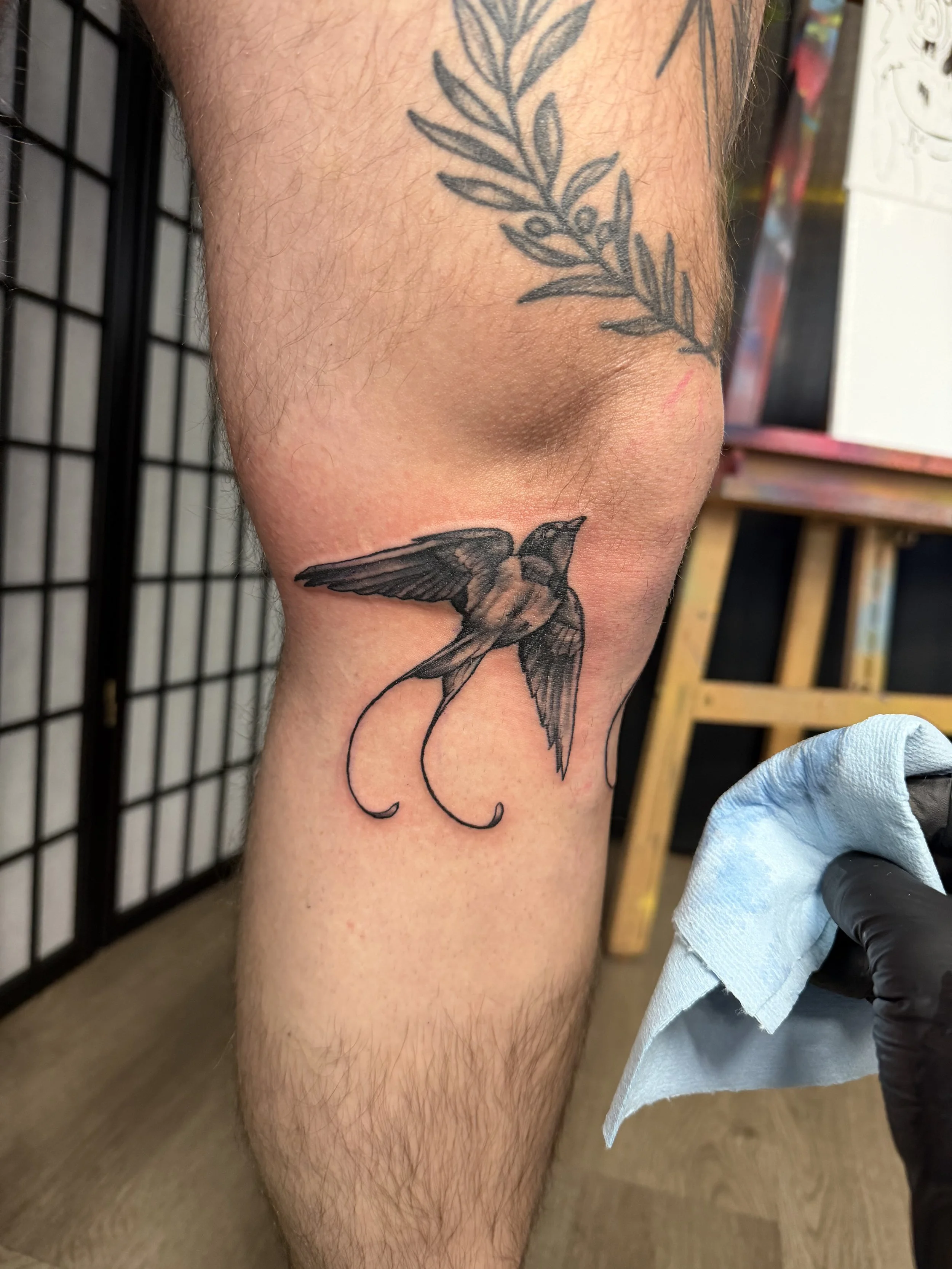 Sioux Falls South Dakota Tattoo Shop. Apex Ink. Tattoo of a flying hummingbird with long tail feathers on a person's calf and a tattoo of a leafy branch above it.