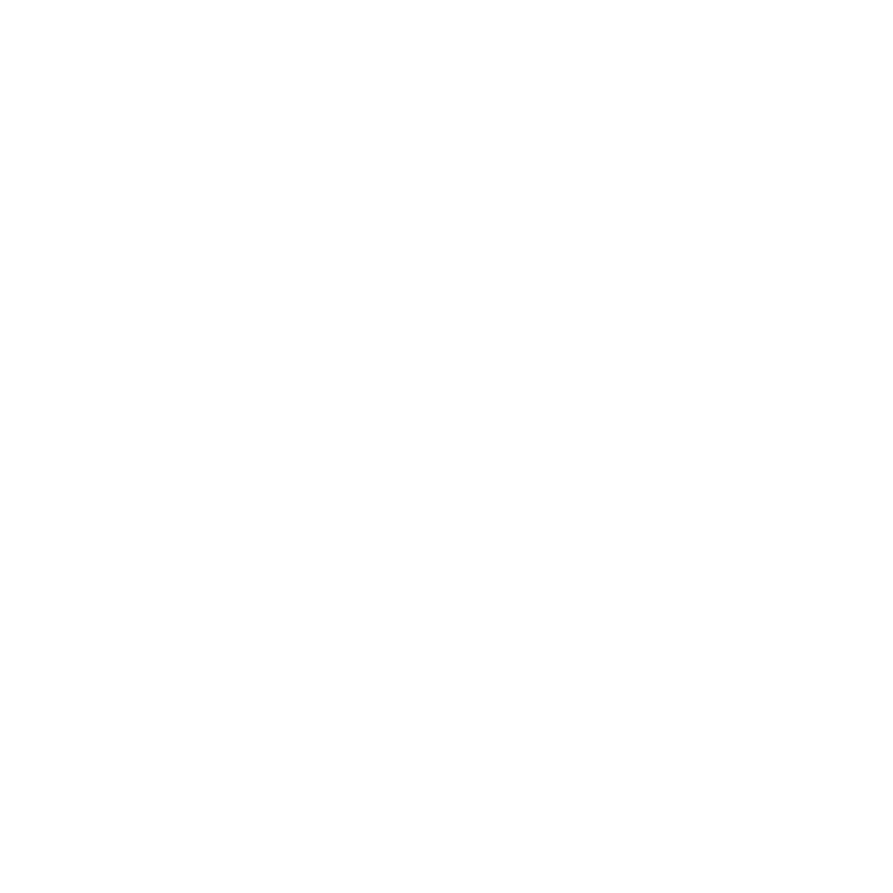 BOLD CITIZEN GROUP