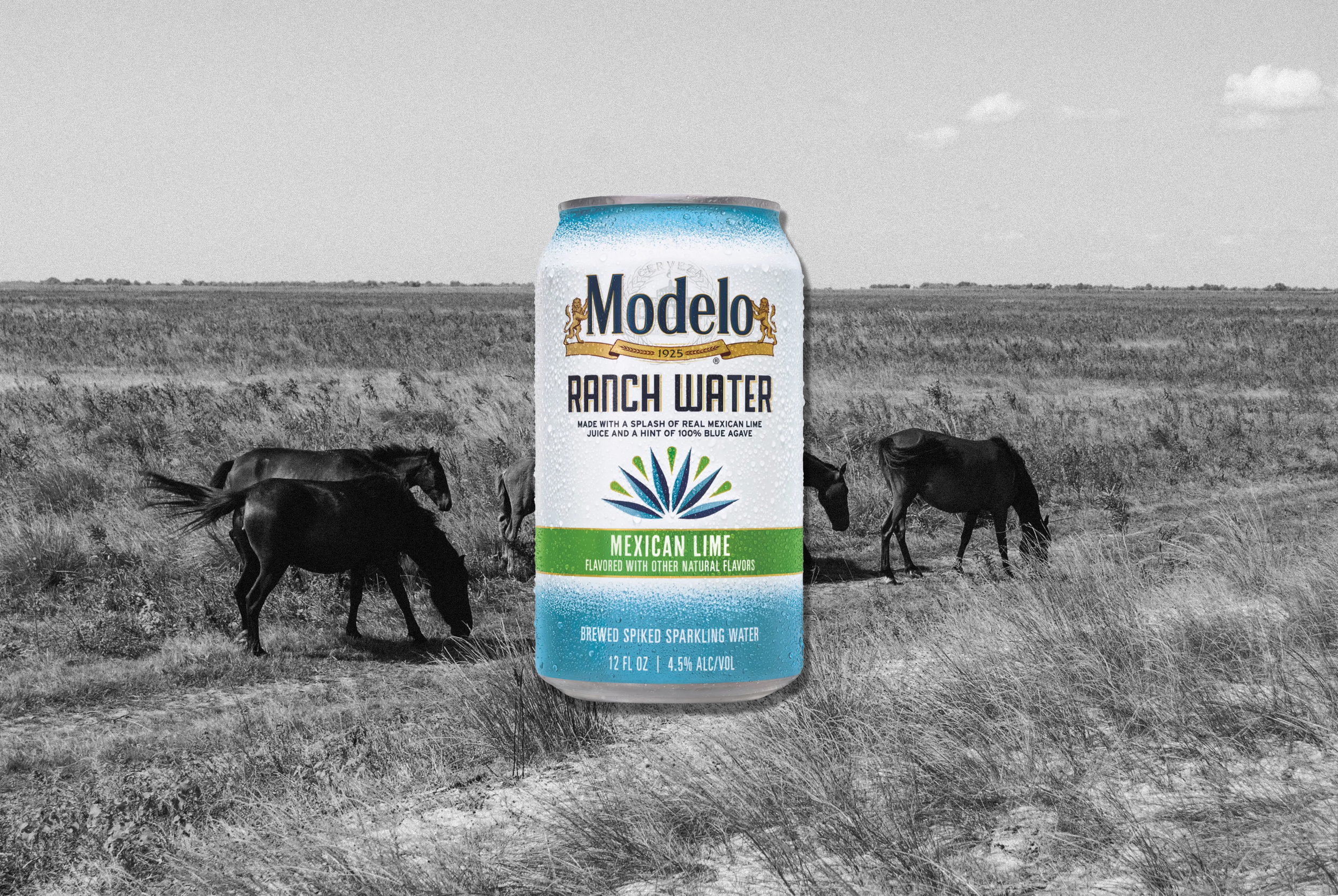 Modelo Ranch Water.png
