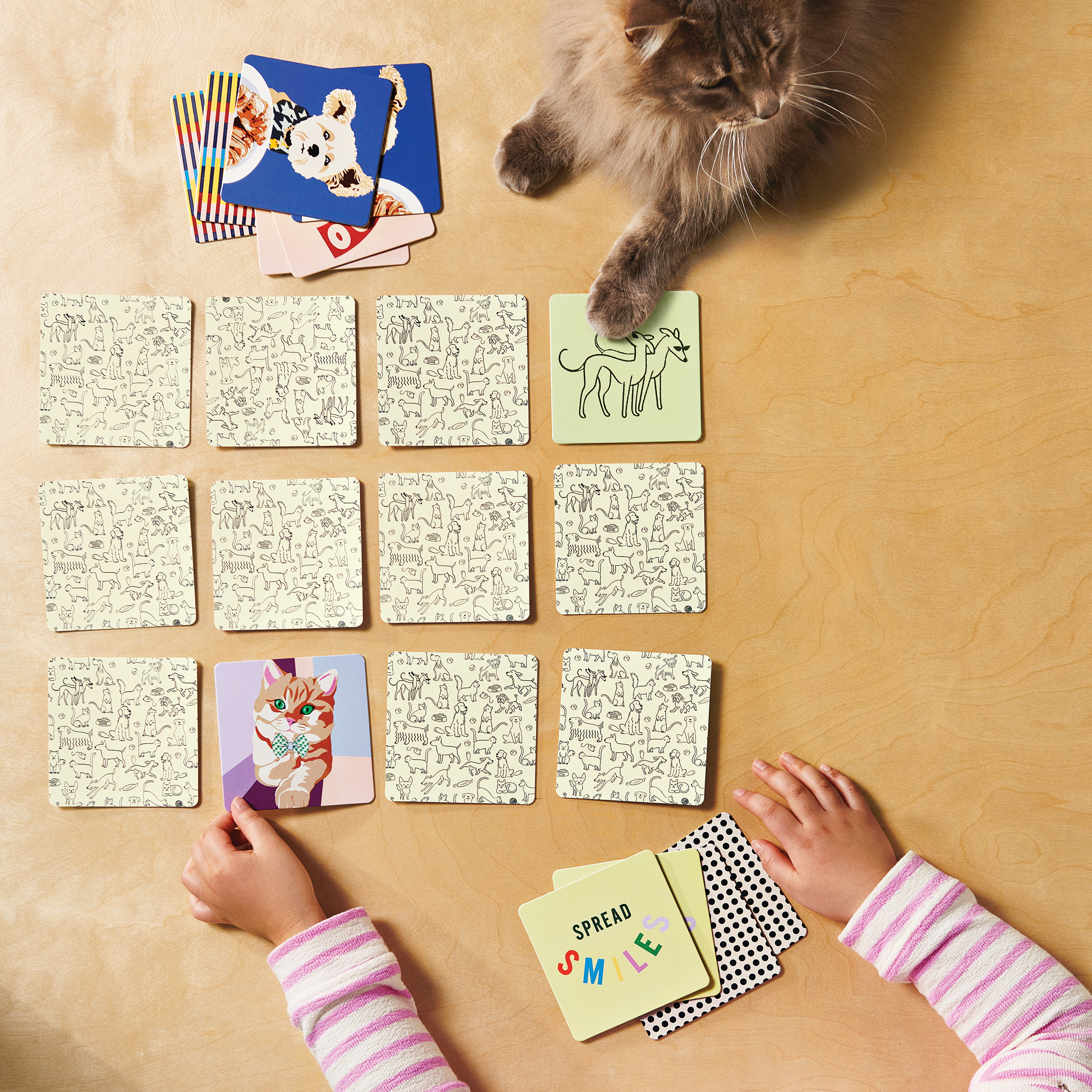C-002271-01-009_251-20-0007_Unity_MemoryCardGame_1634 ALT (1).png