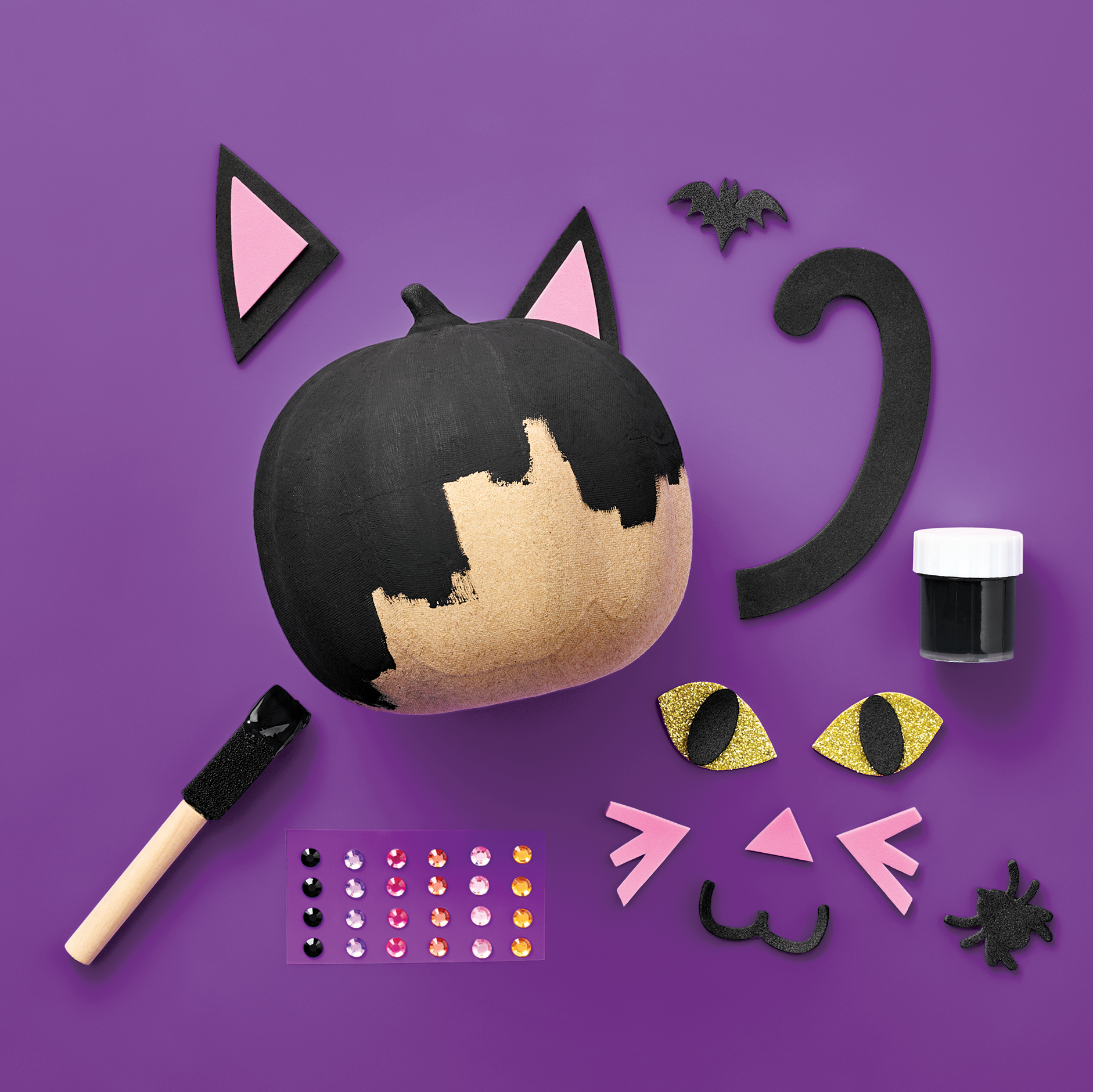C-002447-01-251_081-22-2872_MiniCat_PumpkinKit_B.png