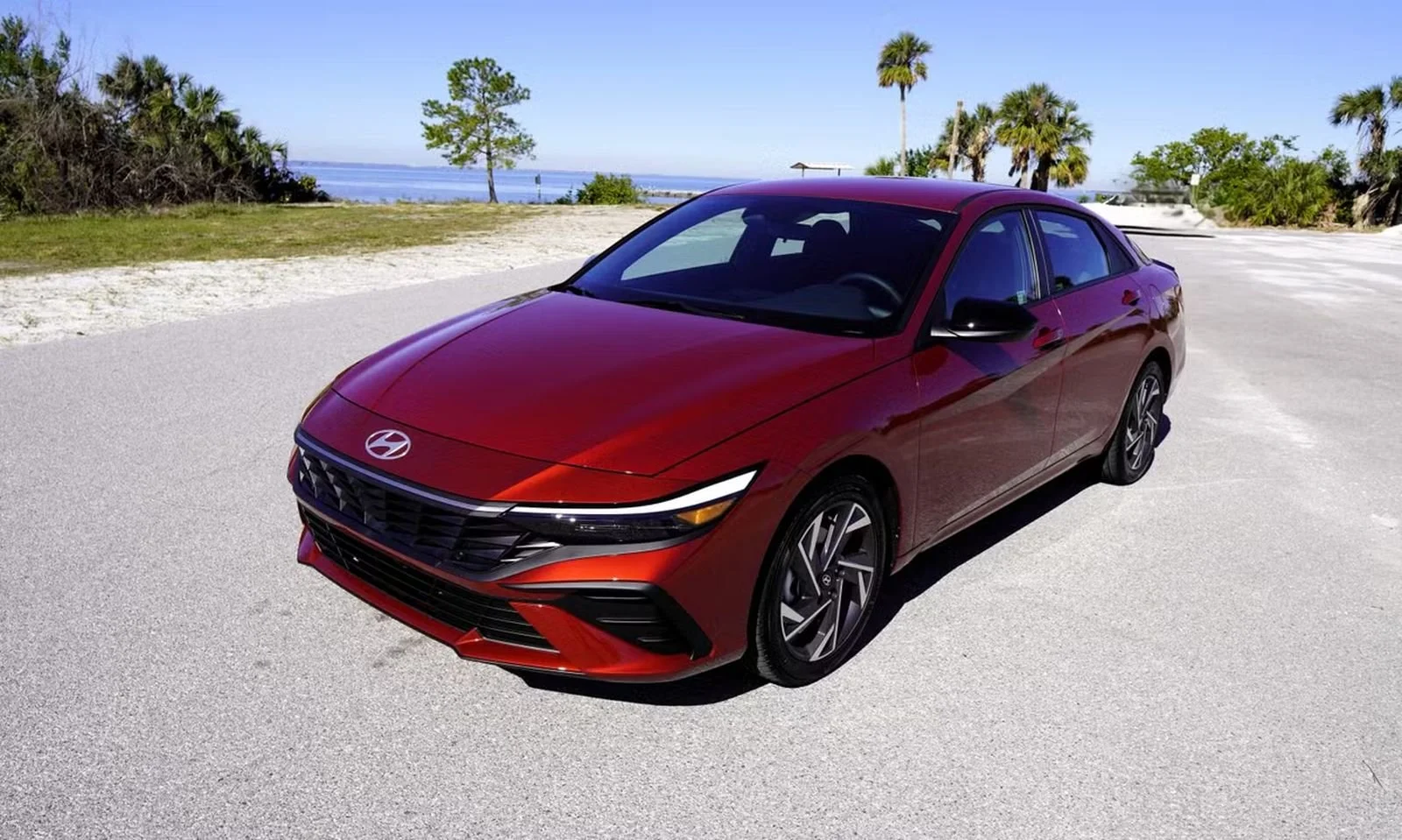 Red Hyundai Elantra sedan parked near Tampa Bay with palm trees and blue sky, available for rental from Bay in Motion.